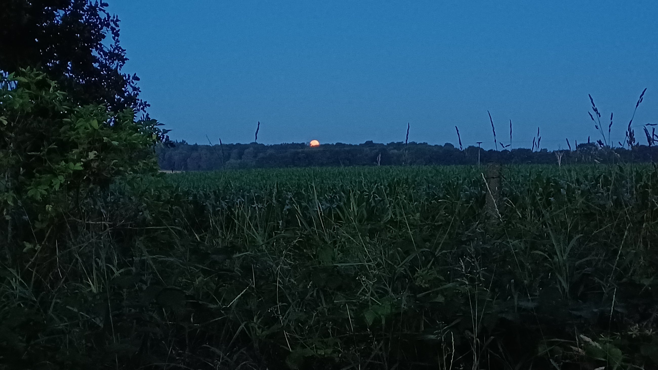 20250711_042242.jpg