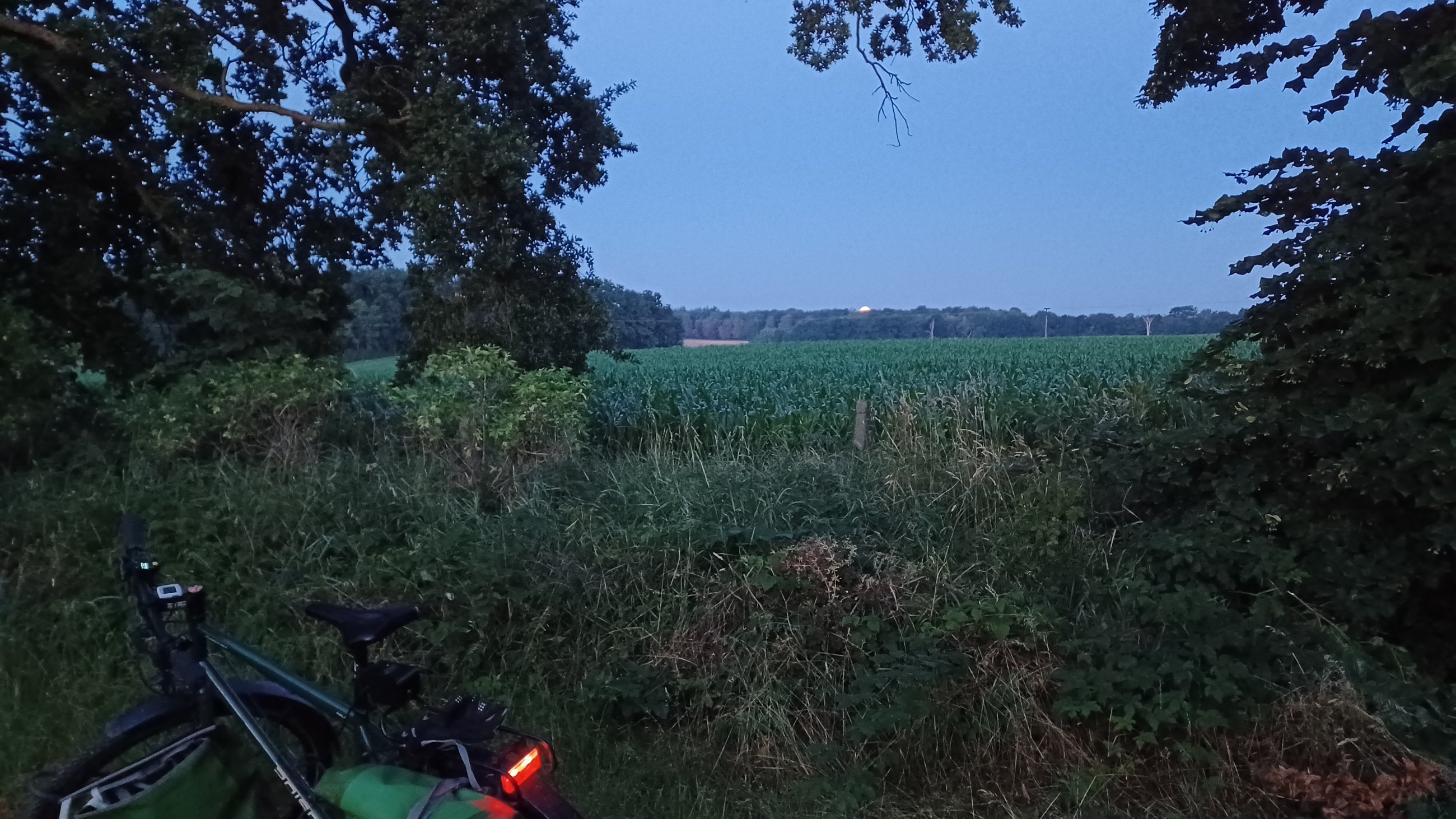 20250711_042357.jpg