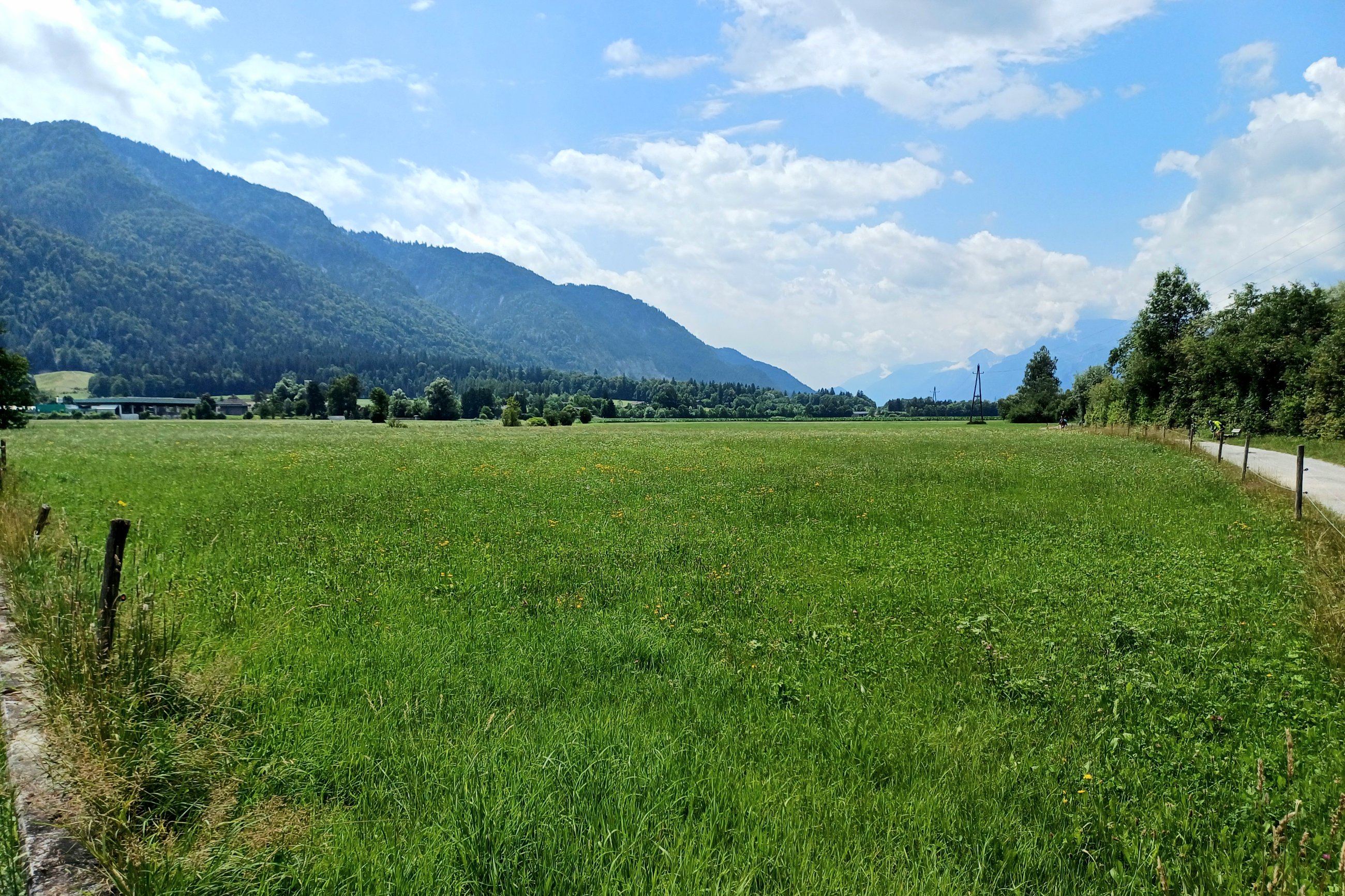 20250711_133547.jpg