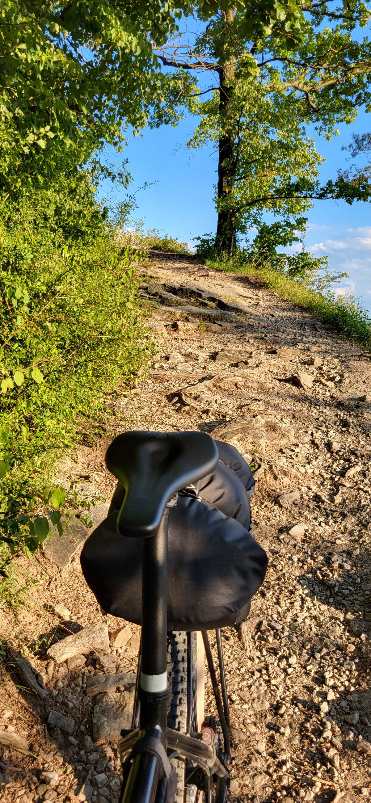 20250713_194956.jpg