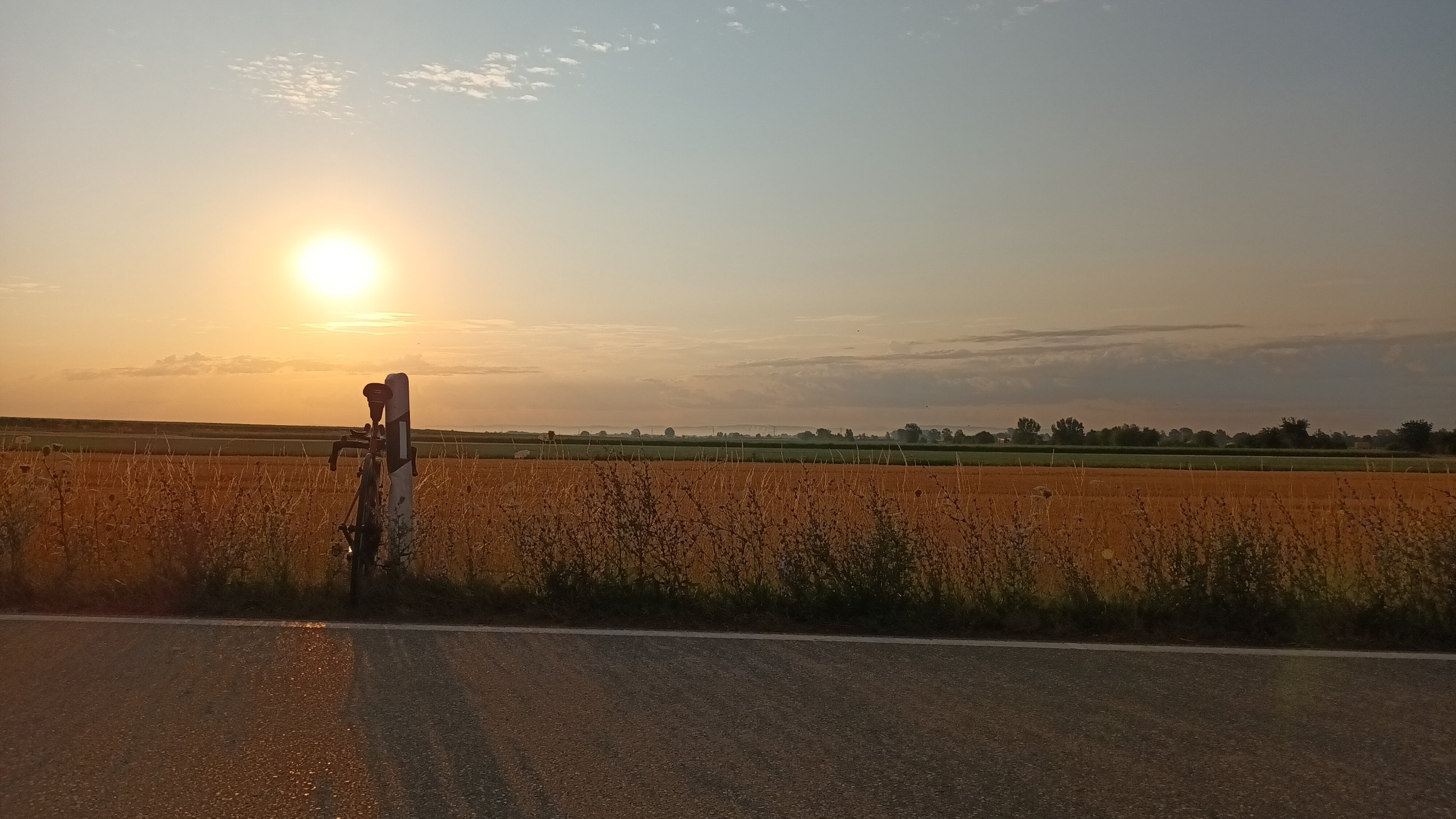 20250715_064143.jpg