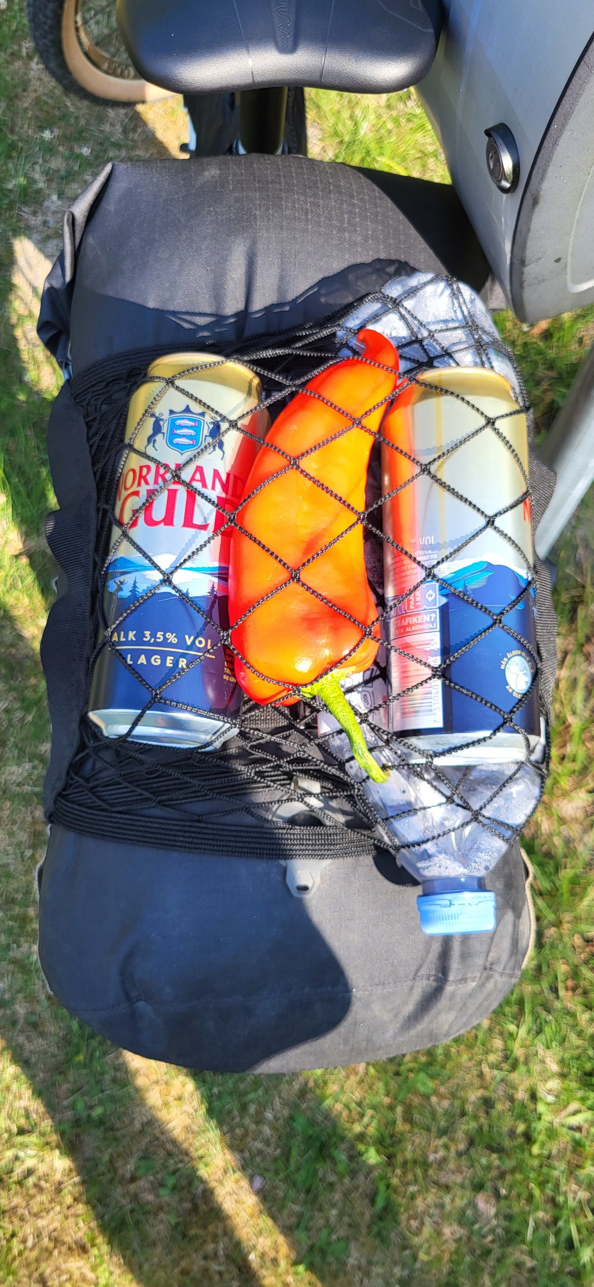 20250723_164955.jpg