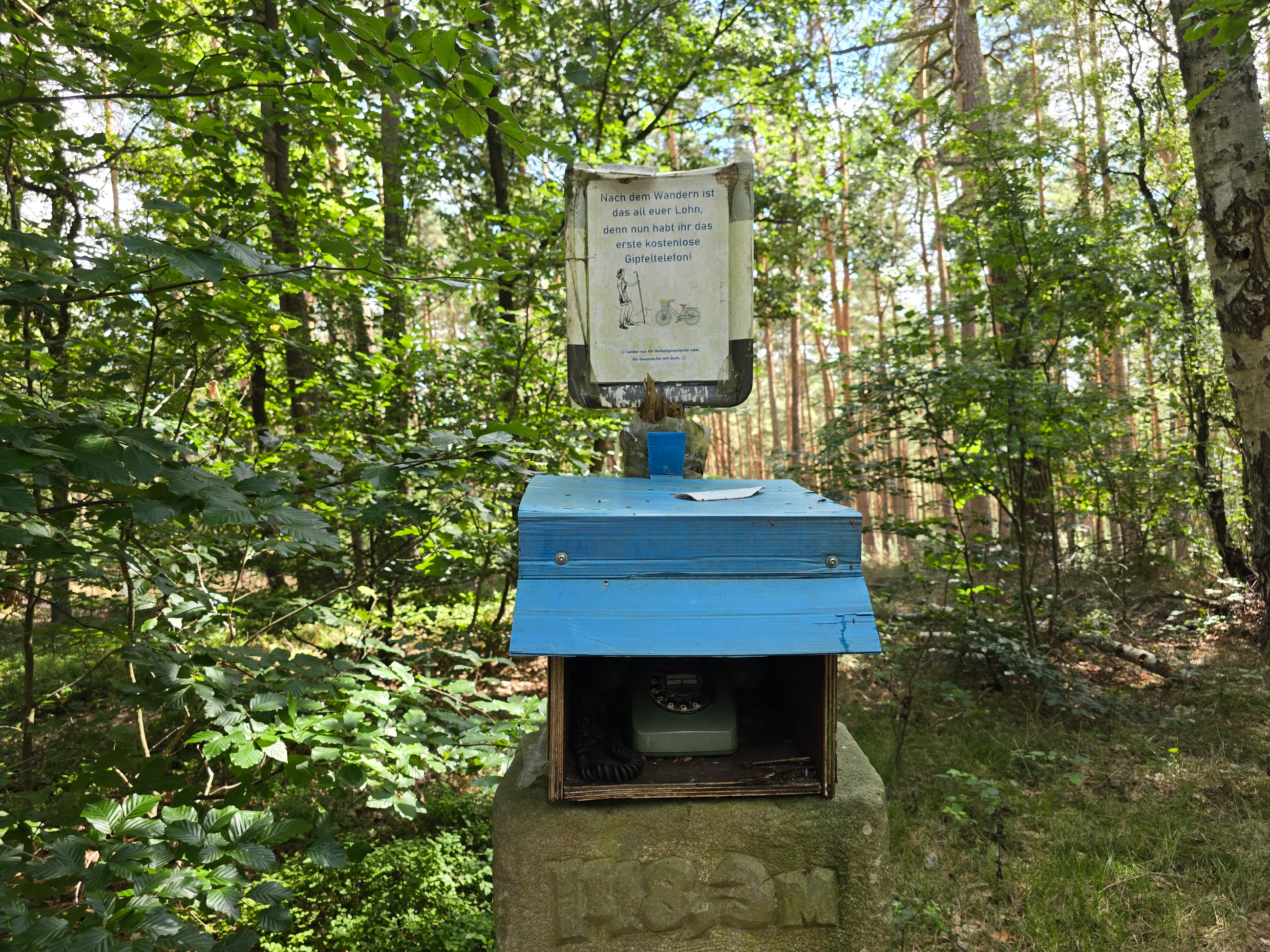 20250726_153328.jpg