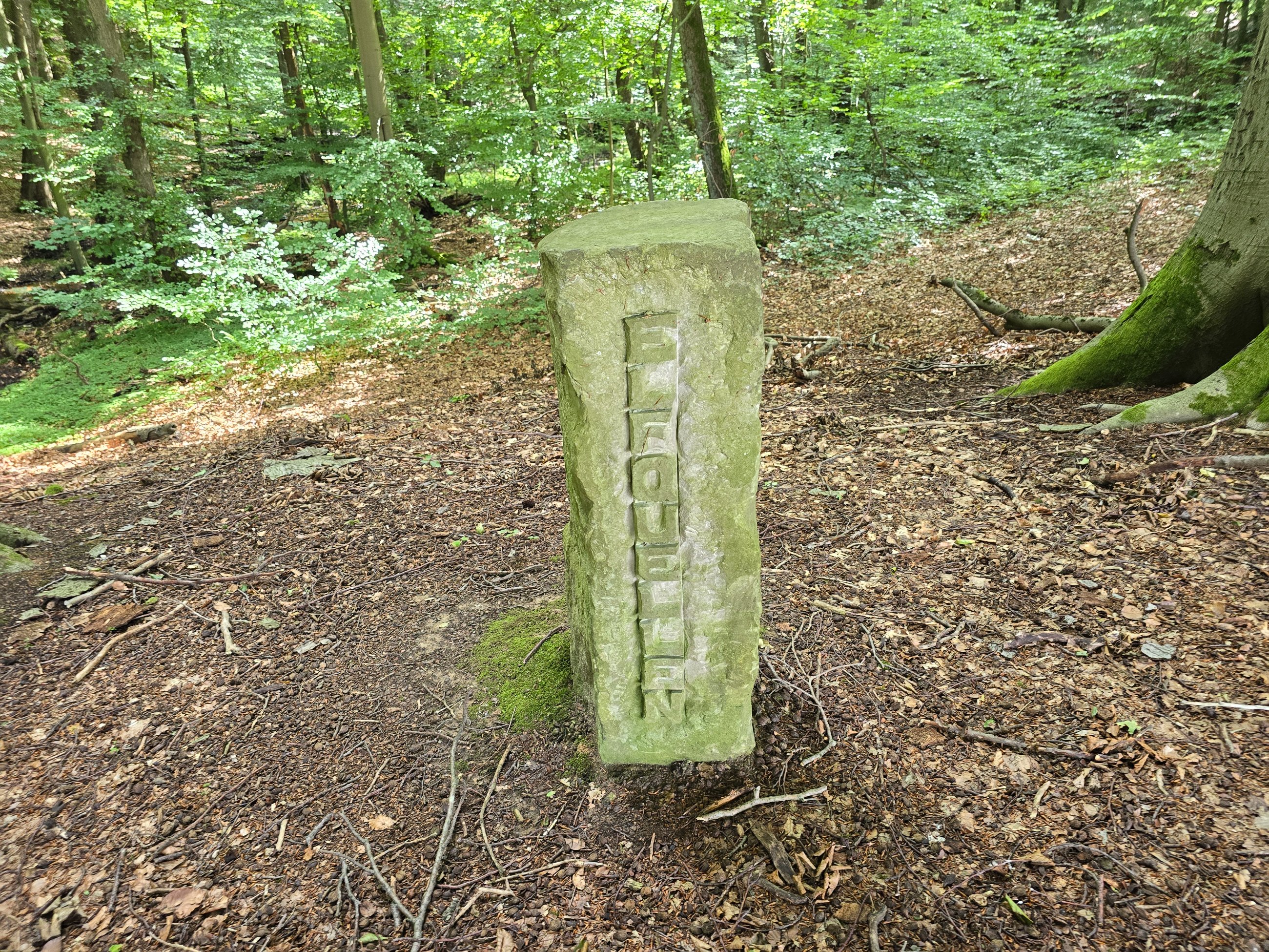20250726_154941.jpg