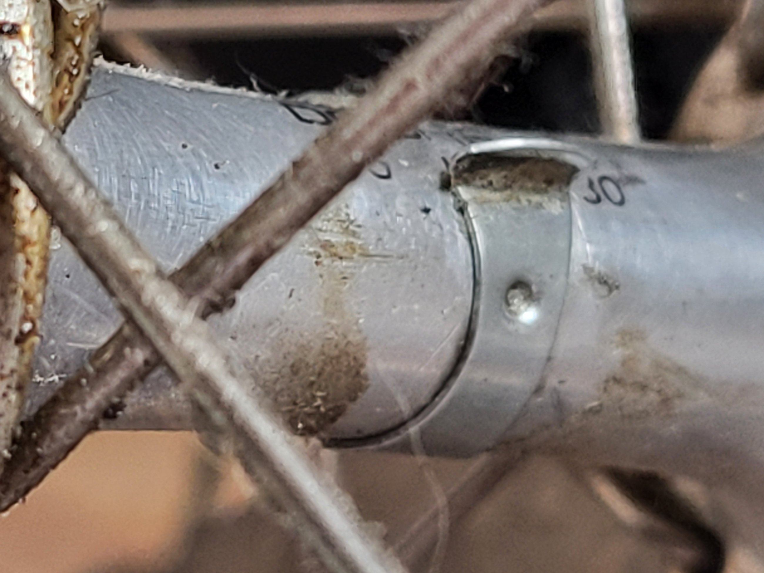 20250727_151749.jpg