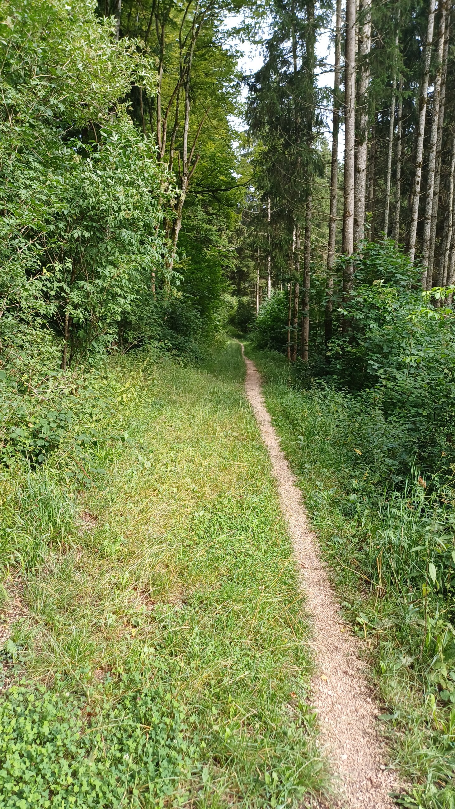 20250728_165934.jpg