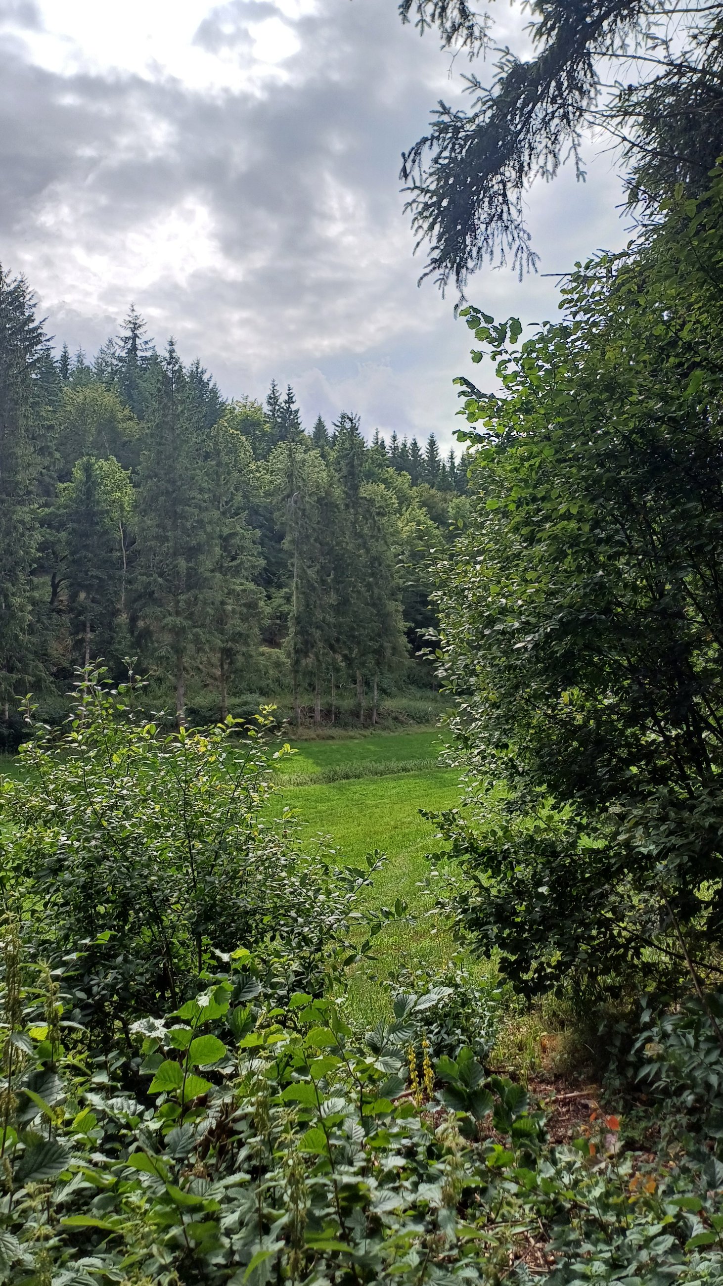 20250728_165939.jpg