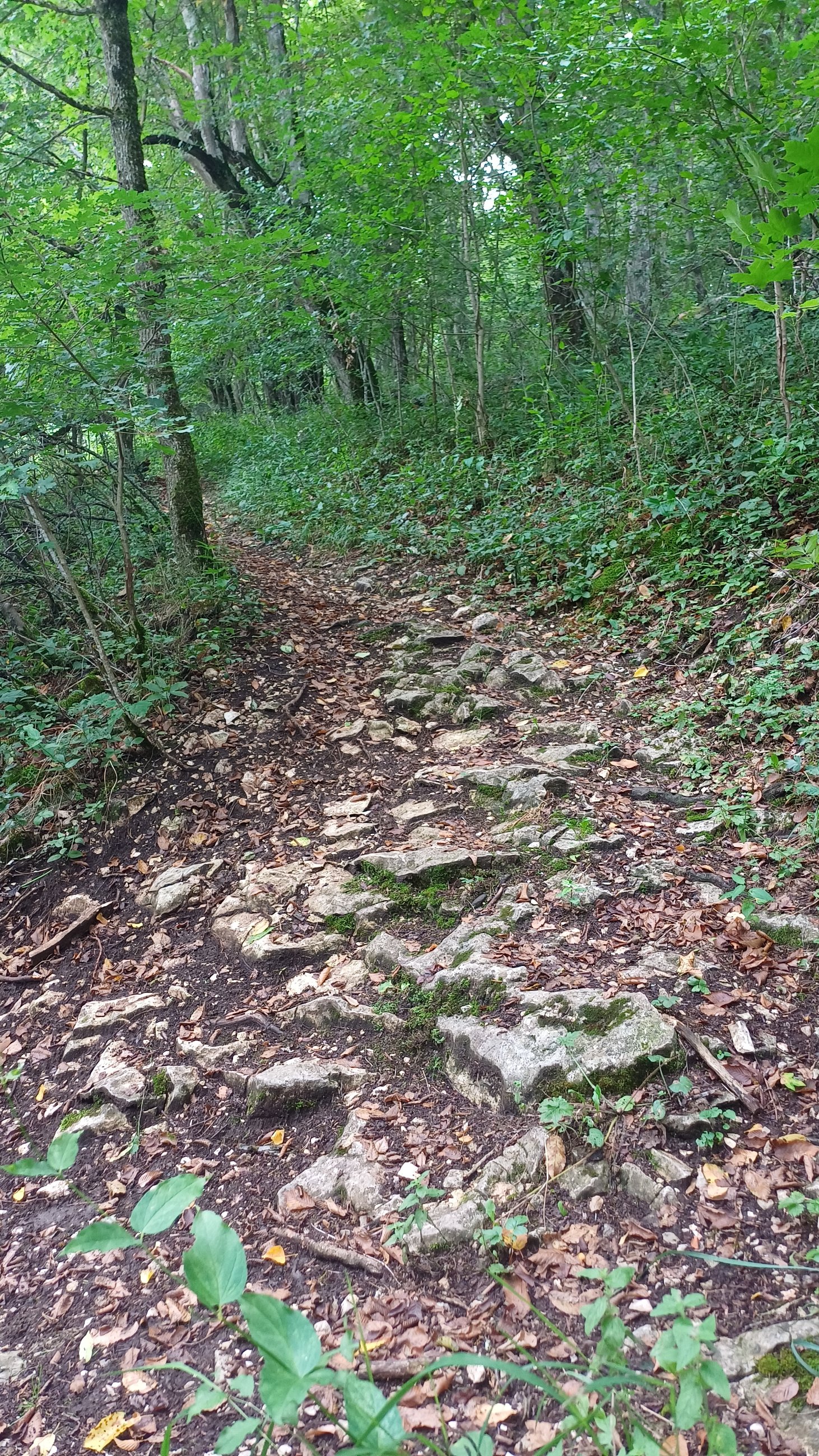 20250728_170708.jpg