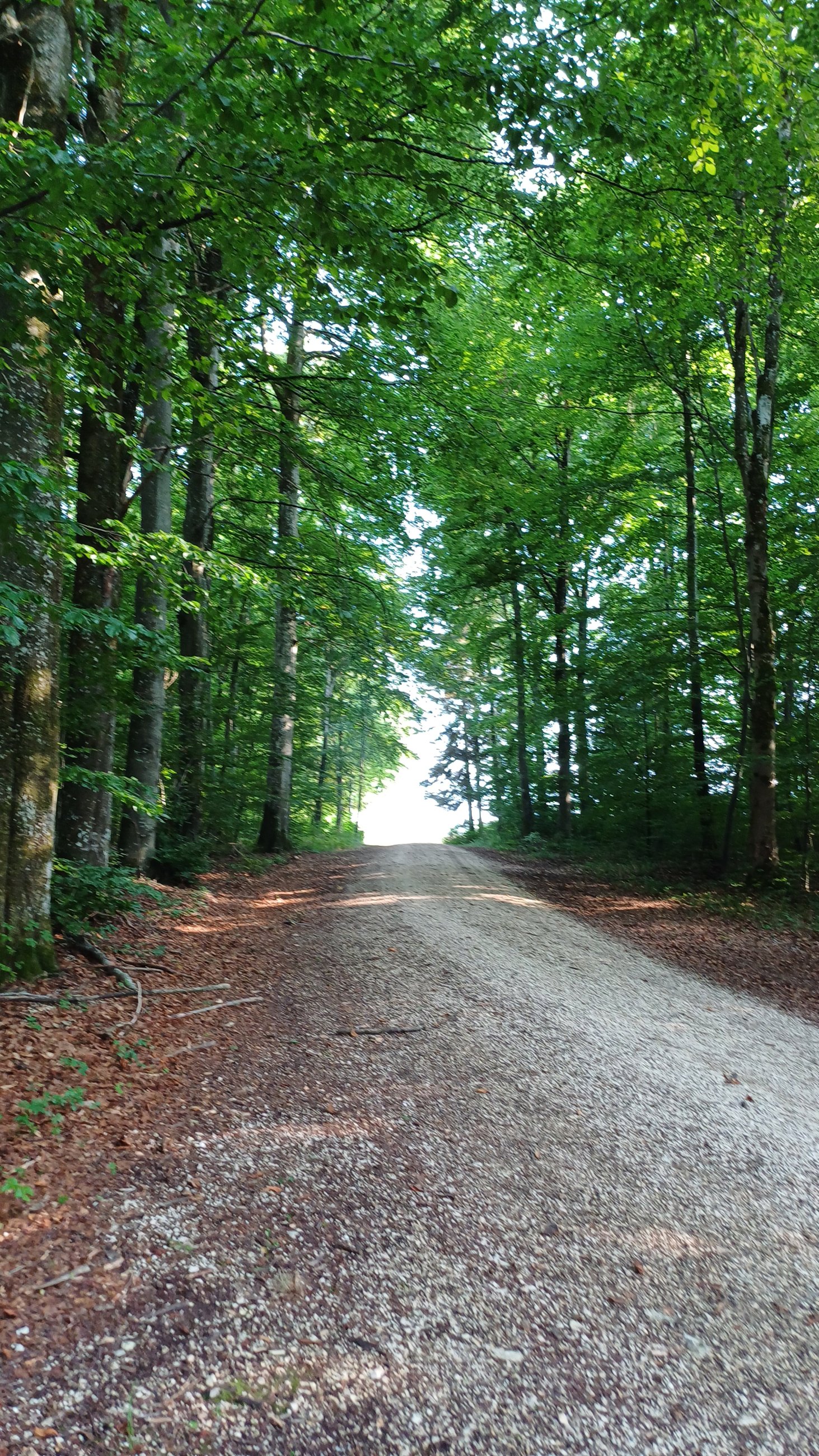 20250806_174746.jpg