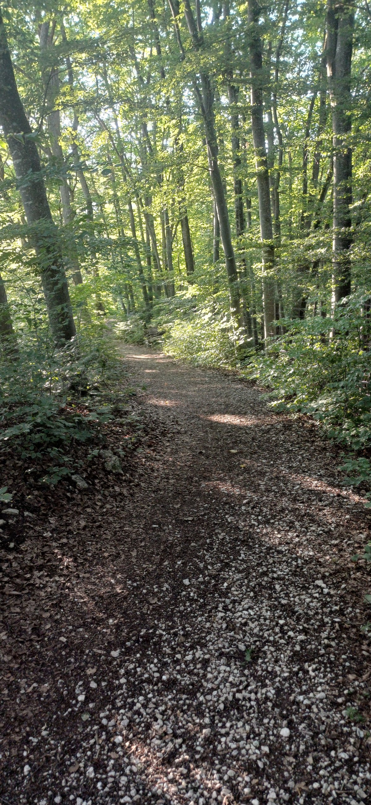 20250808_192642.jpg