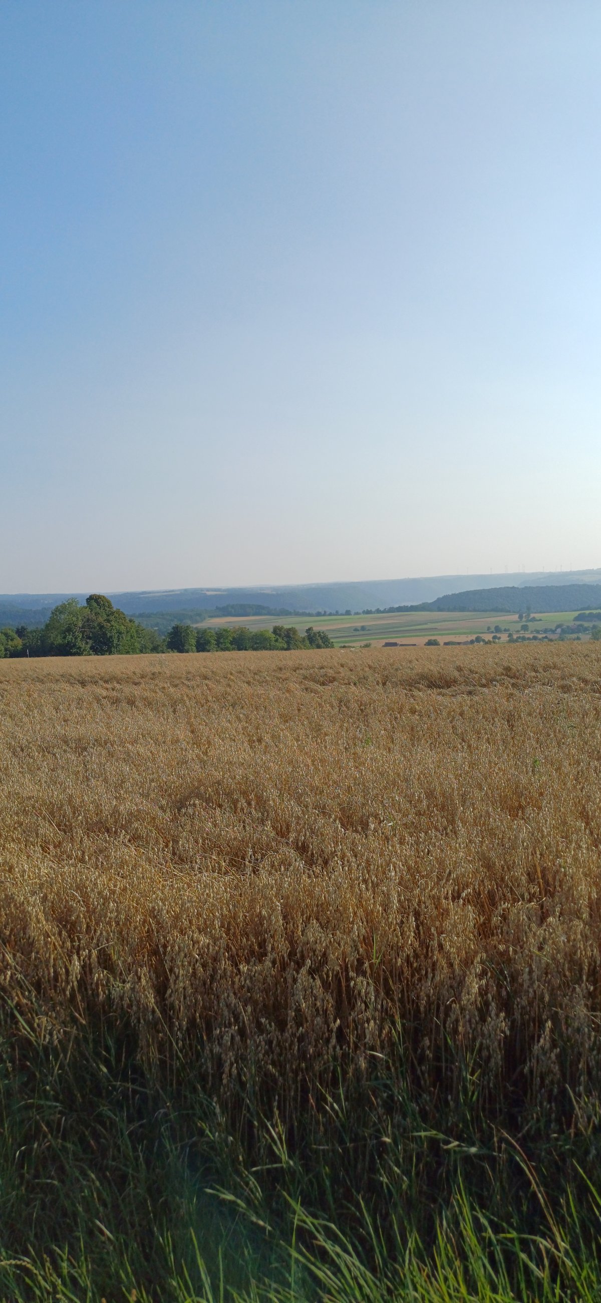 20250810_180747.jpg