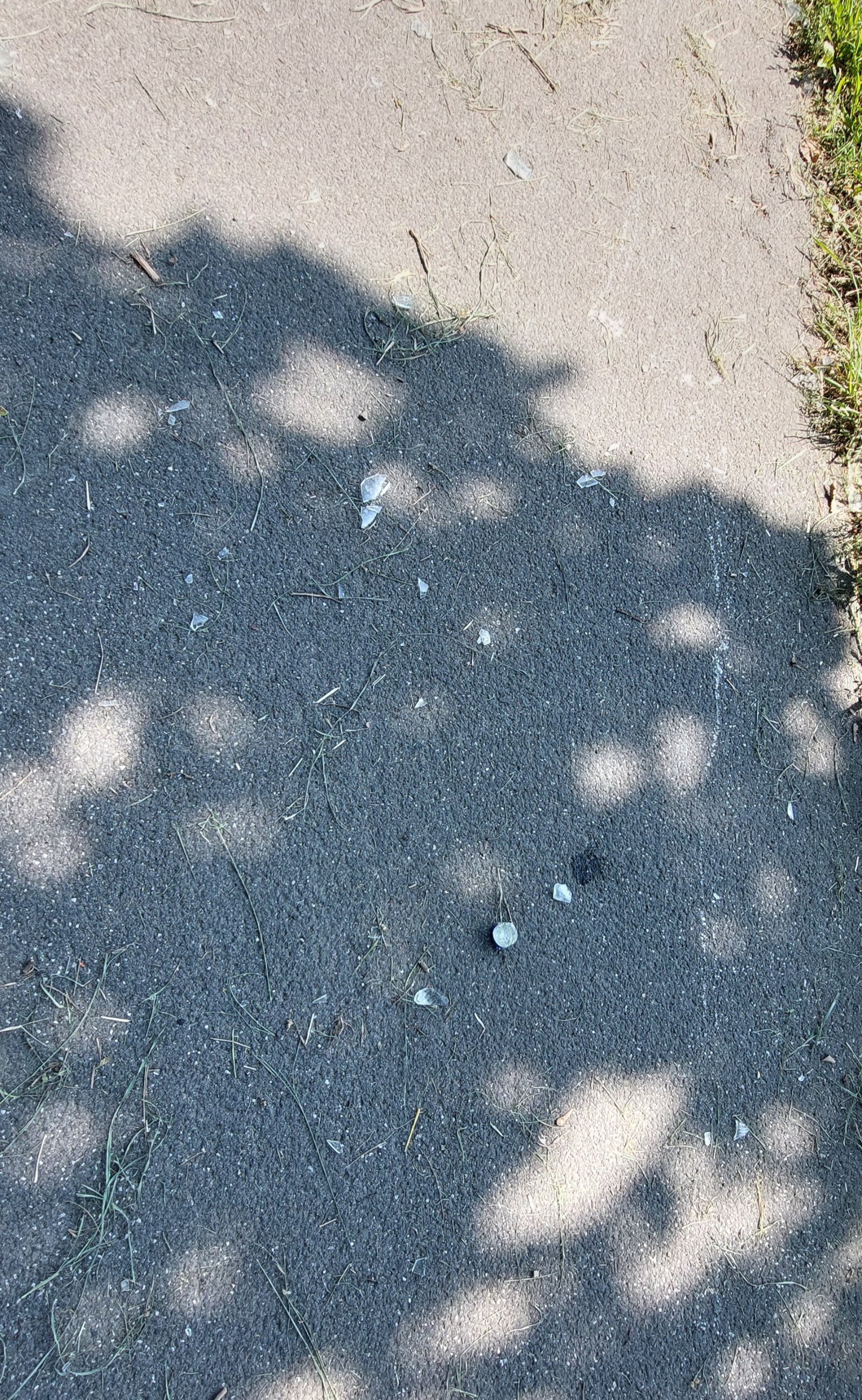 20250812_122123.jpg