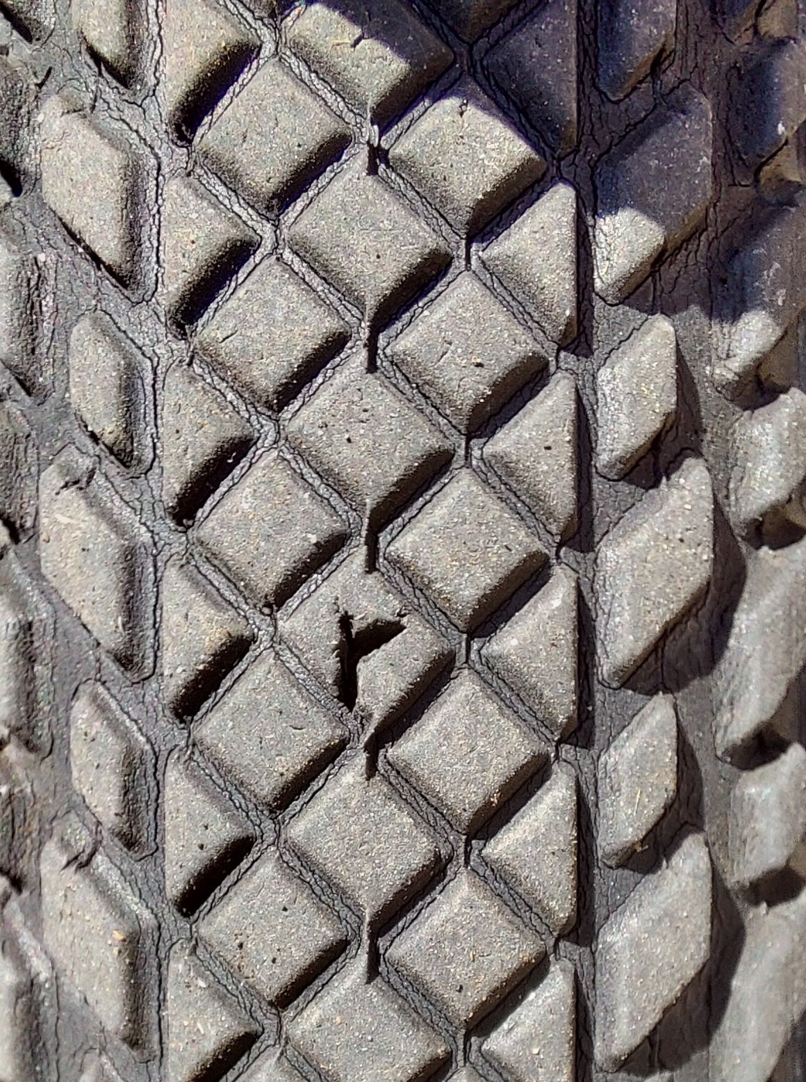 20250812_134303.jpg