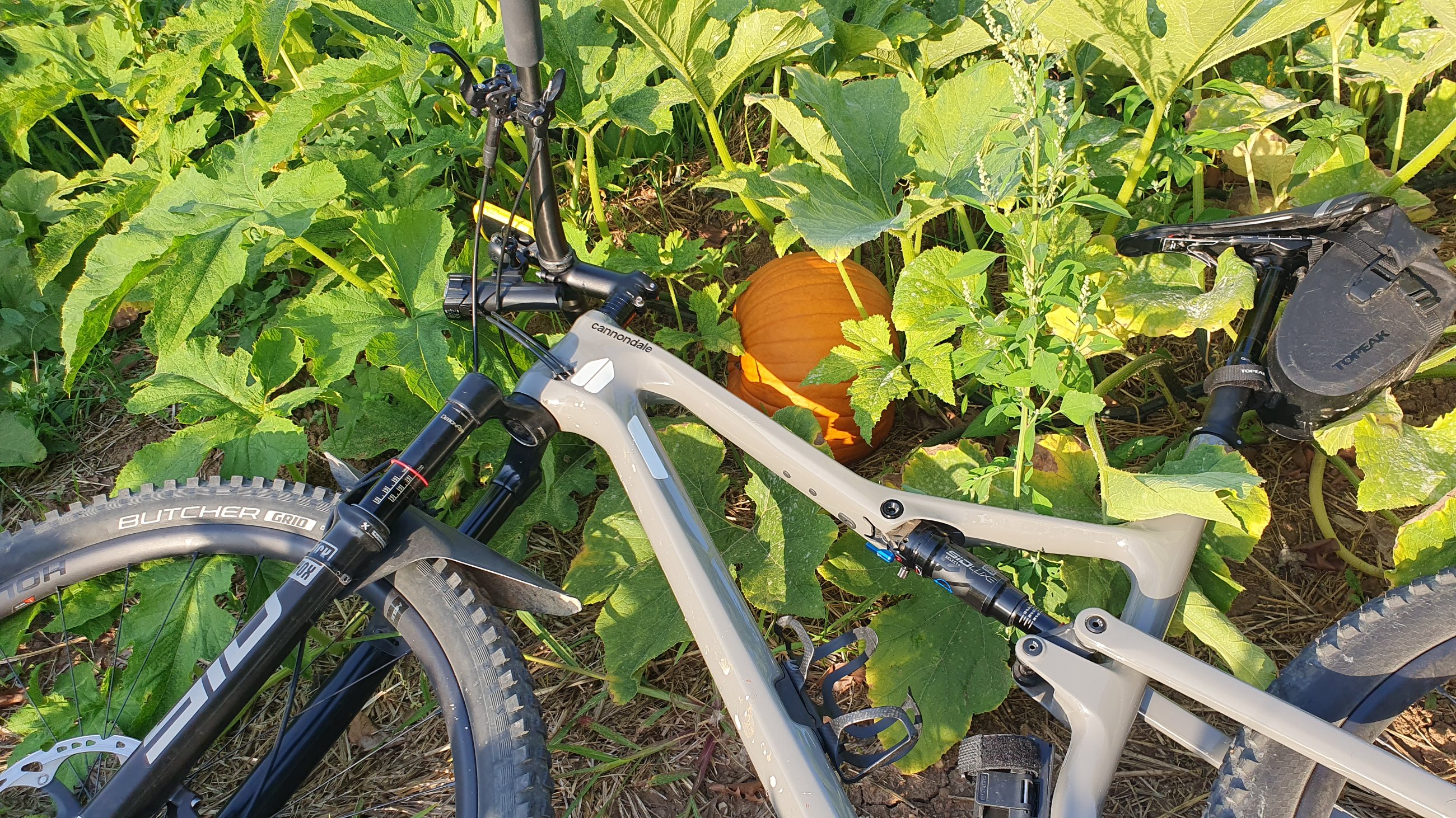 20250813KÜ_Mtb7.jpg