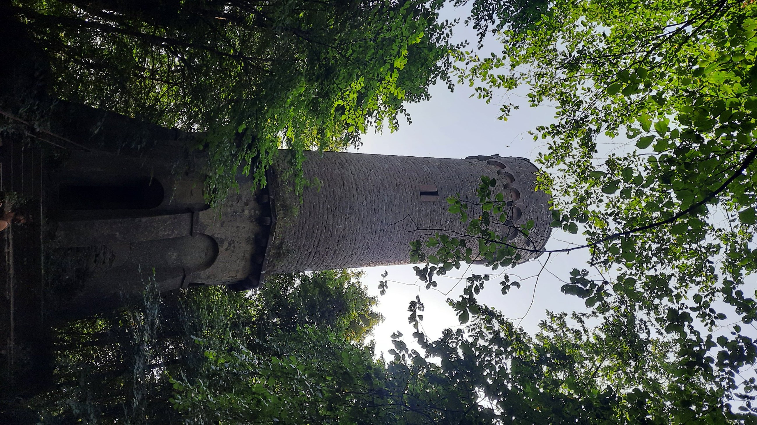 20250815_094801.jpg