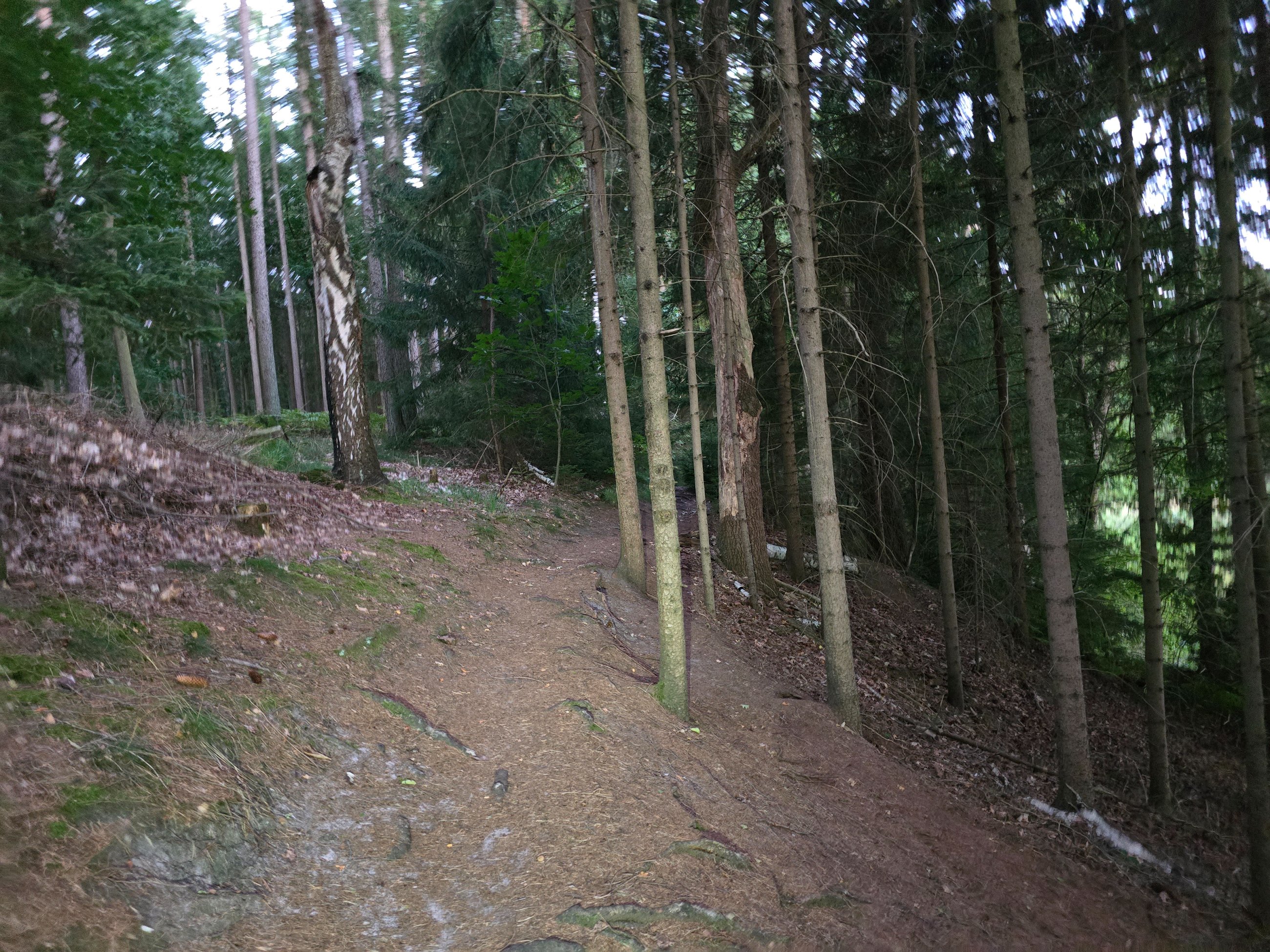 20250816_204706.jpg