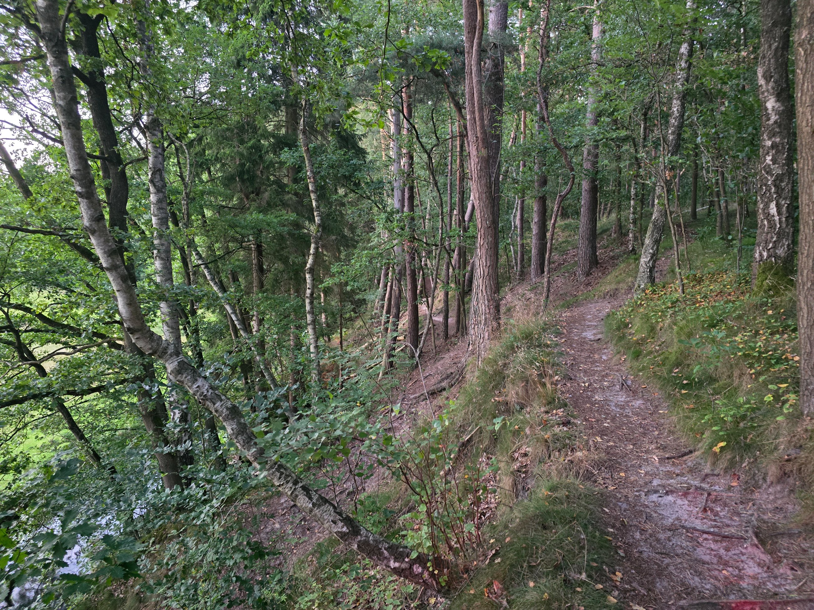 20250816_204810.jpg