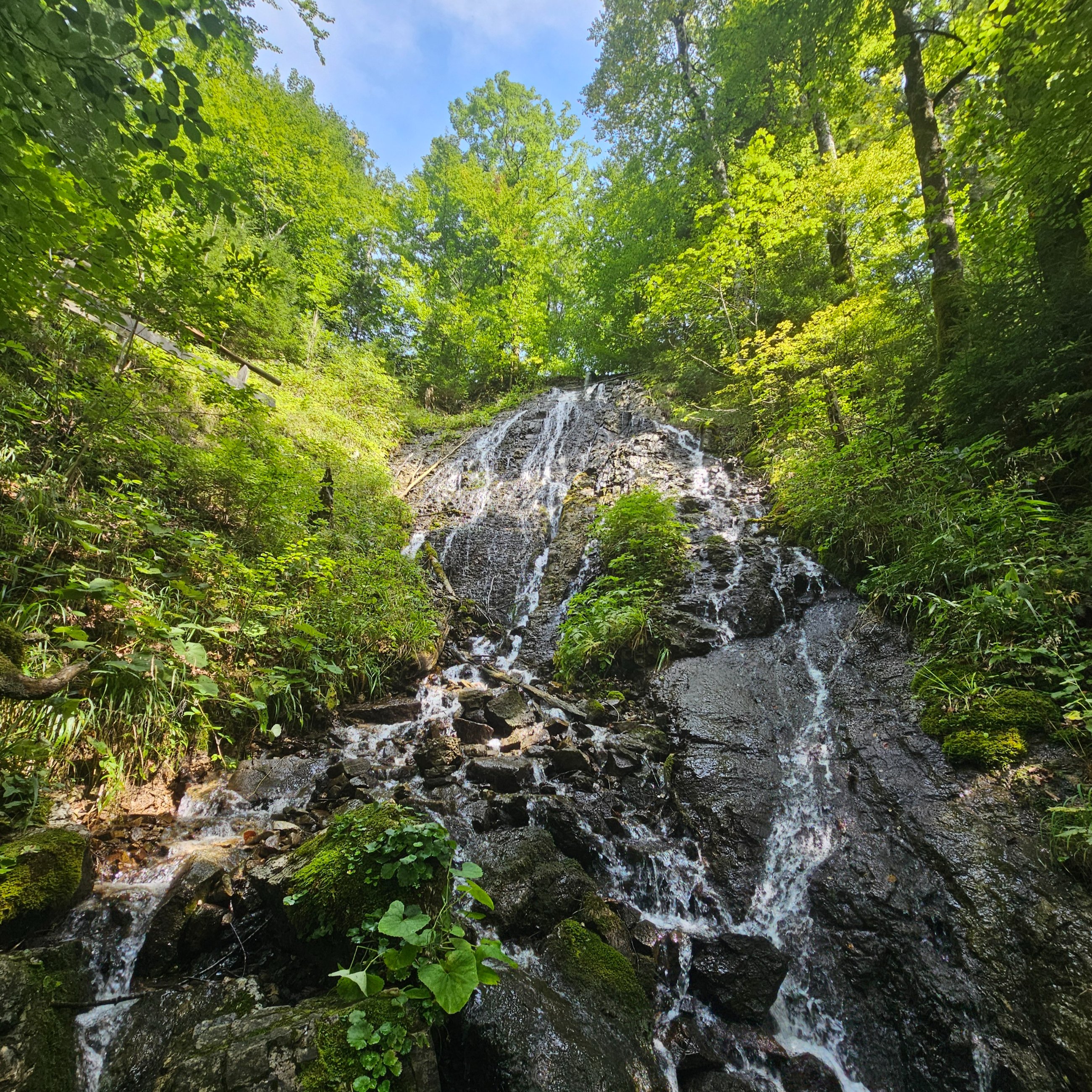 20250827_134109.jpg
