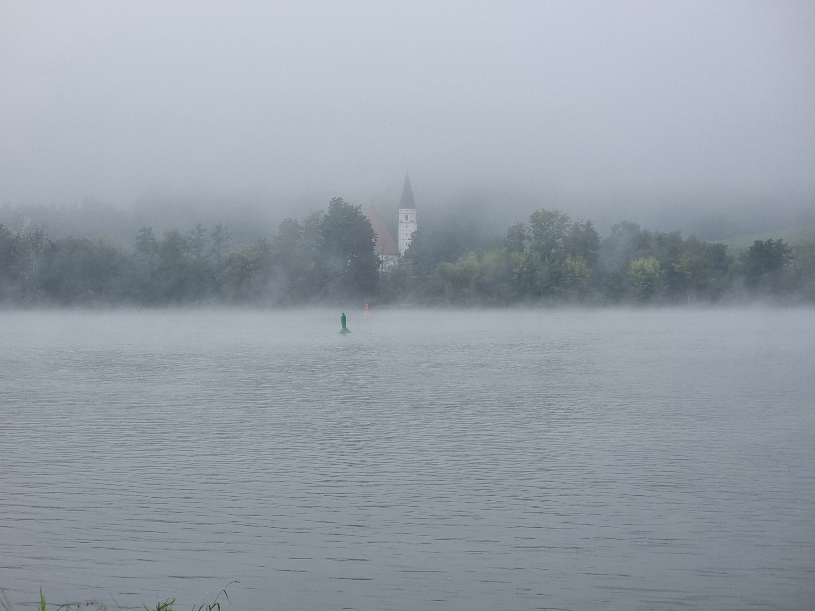 20250831_090707.jpg