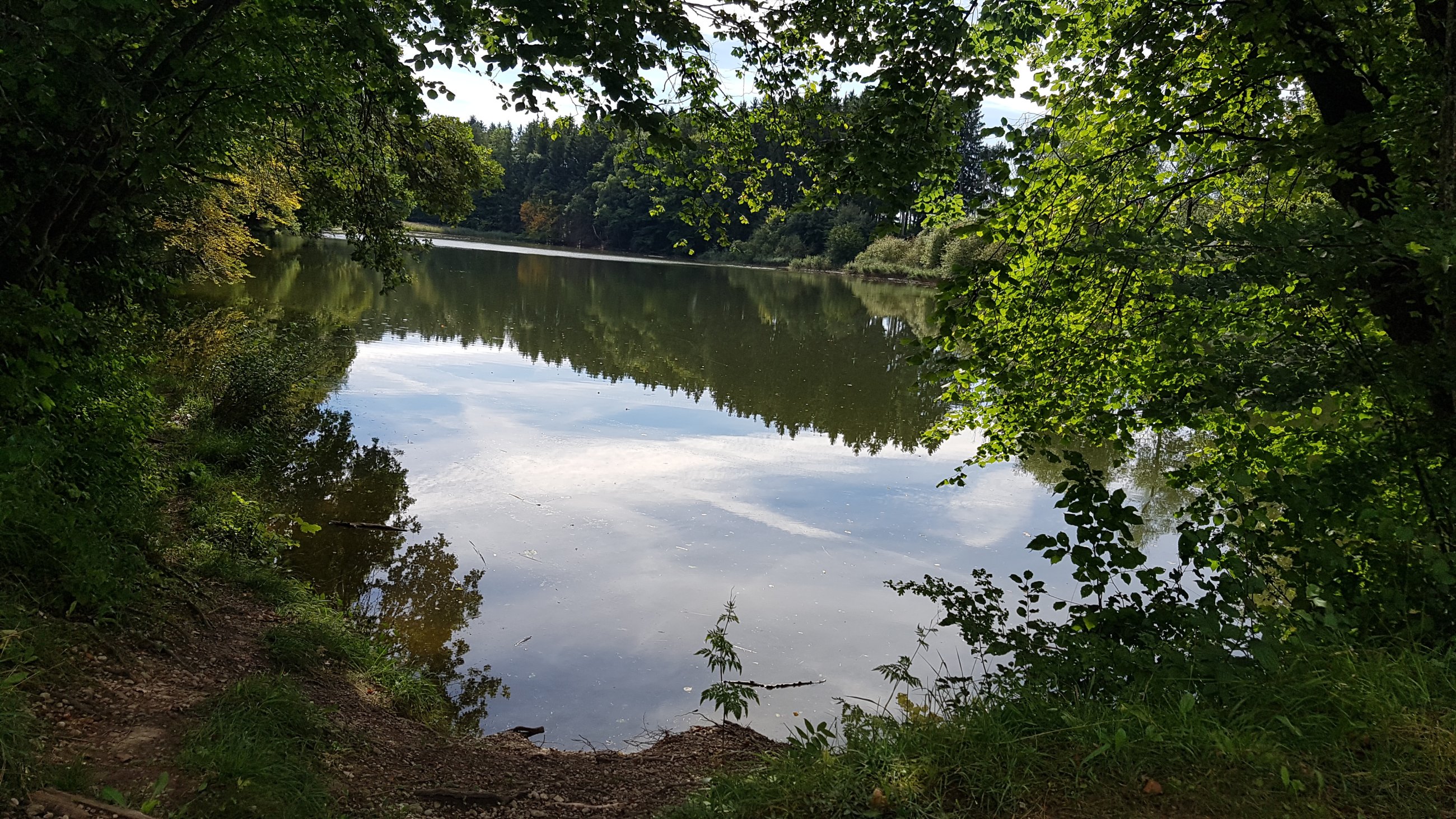 20250904_110649.jpg