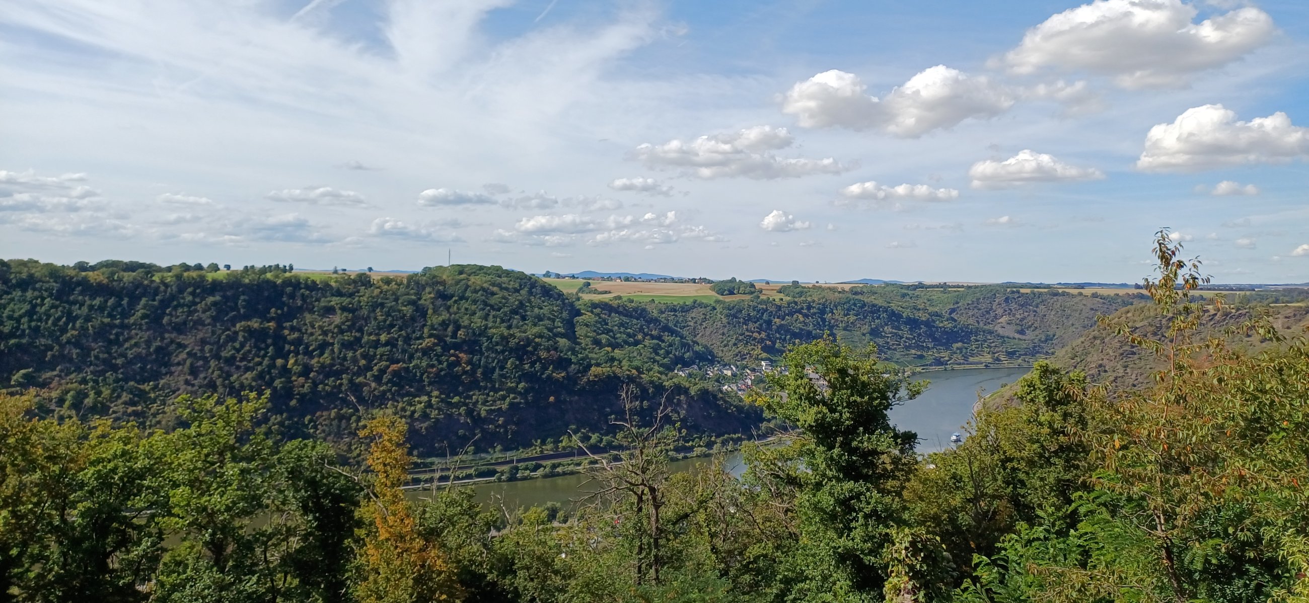 20250906_153017.jpg