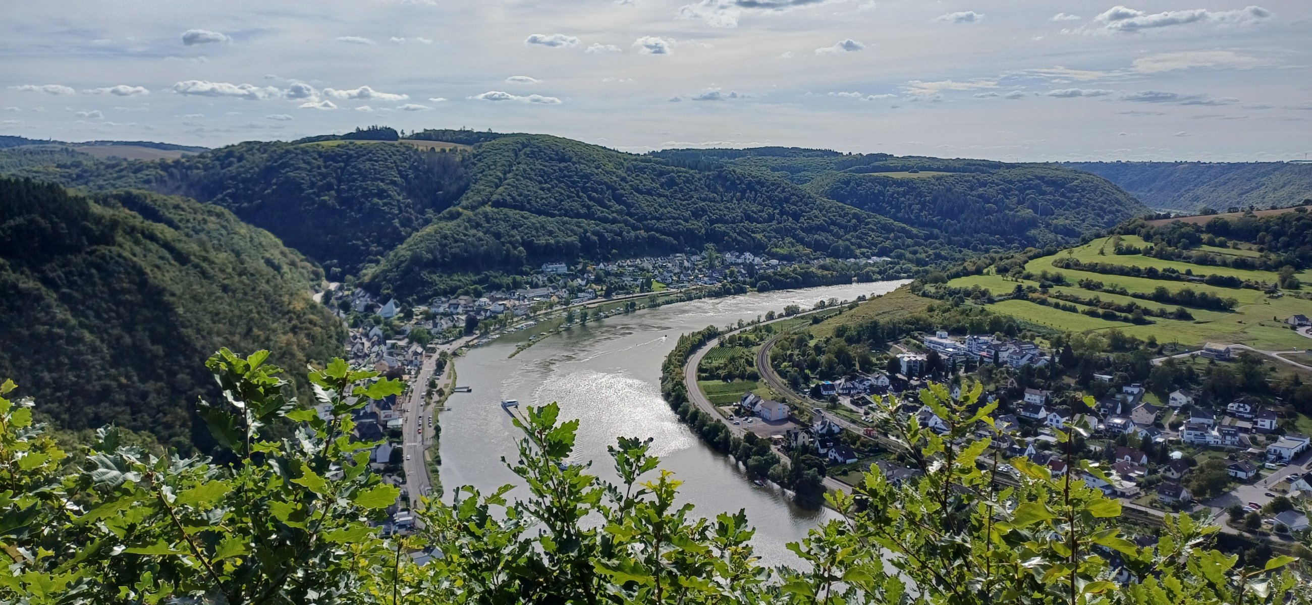 20250906_154130.jpg