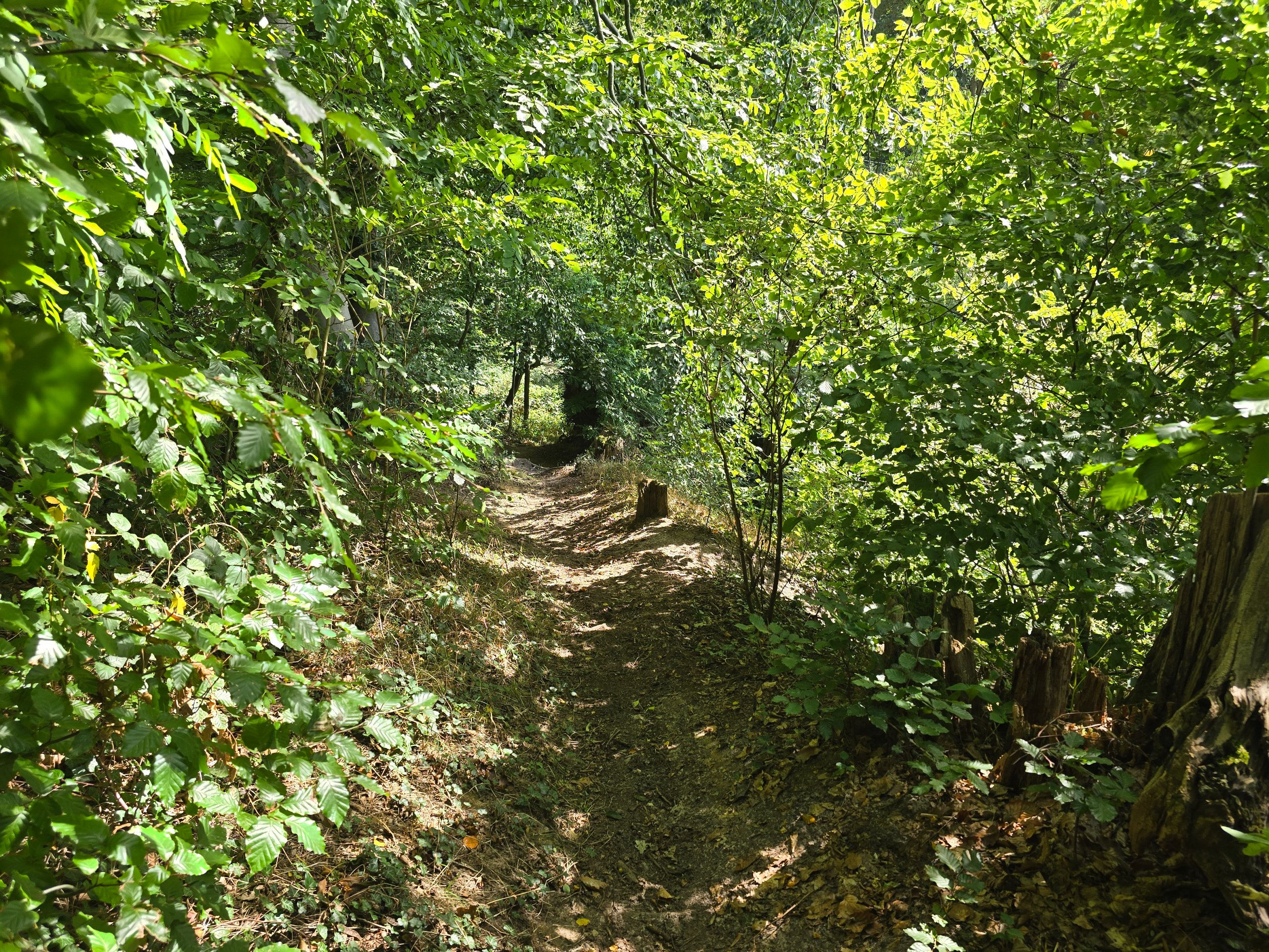 20250907_114235.jpg