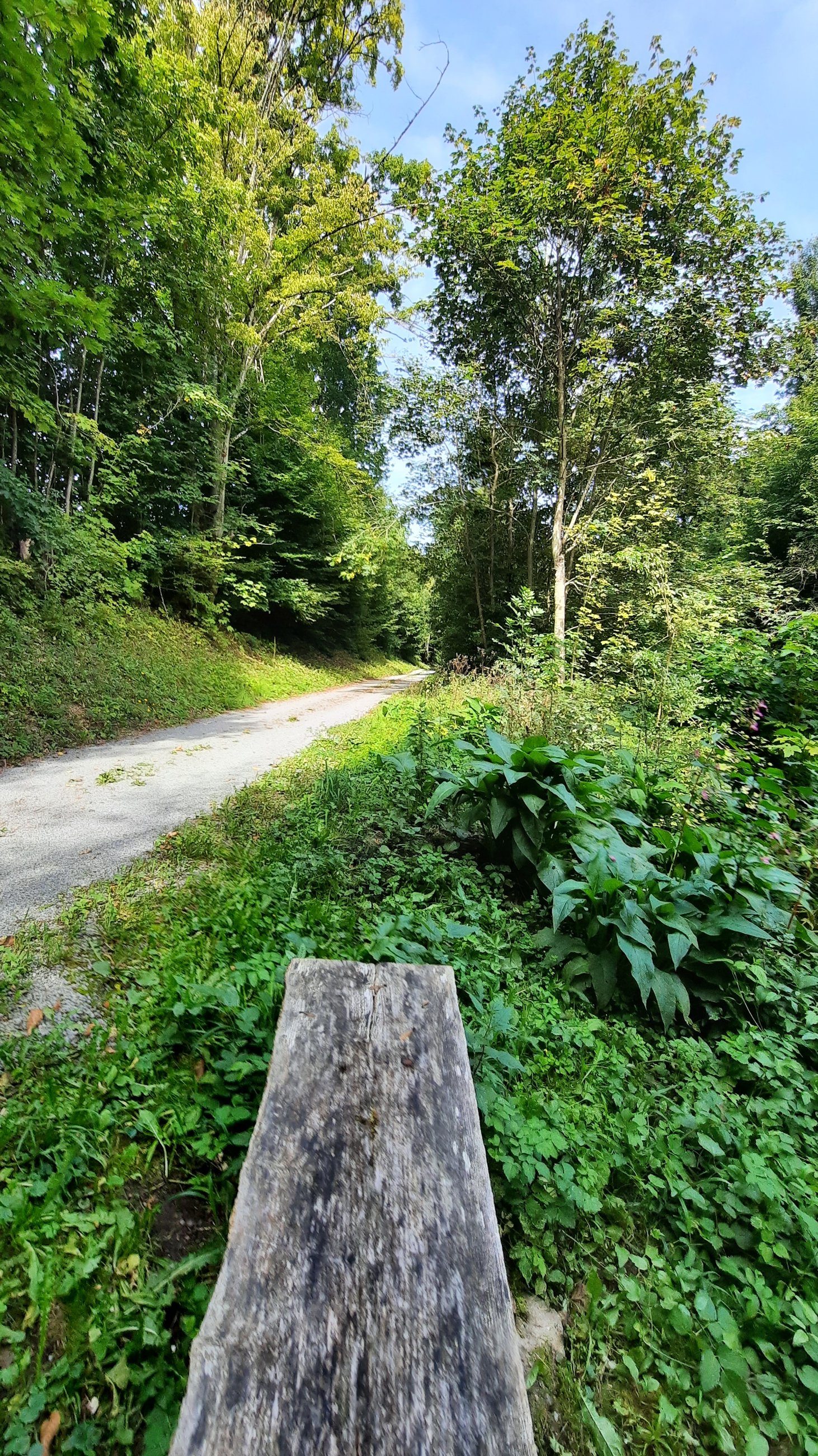 20250907_130407.jpg