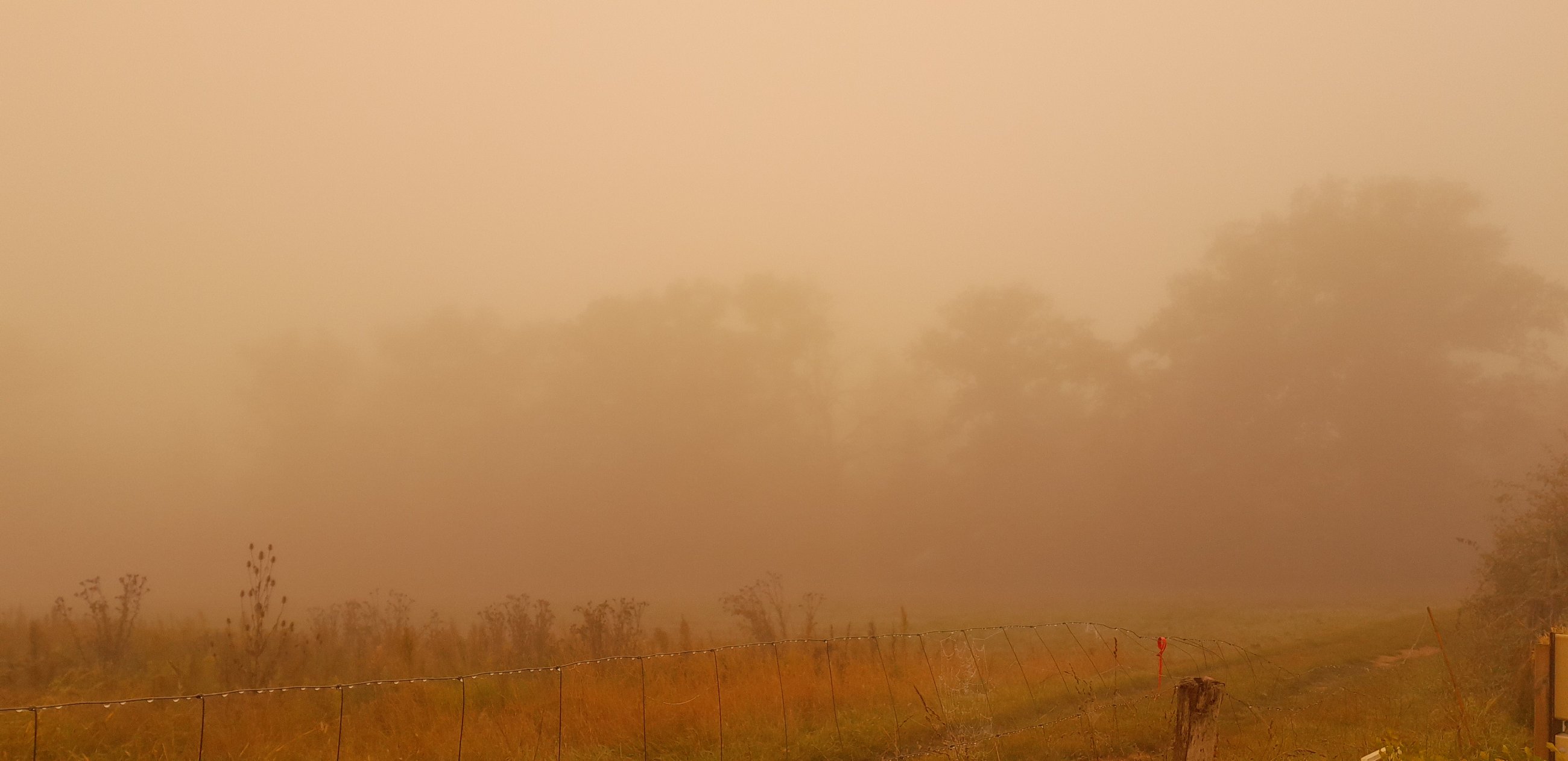 20250910_080716.jpg