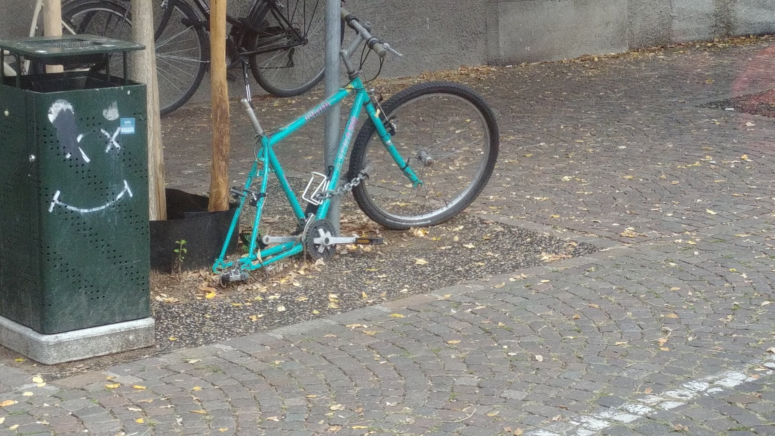 20250912_152530.jpg