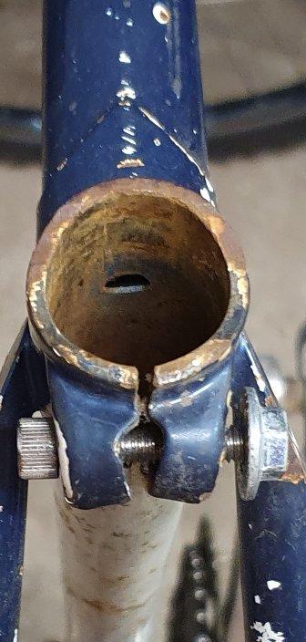 20250915_193959_resized_resize_14.jpg