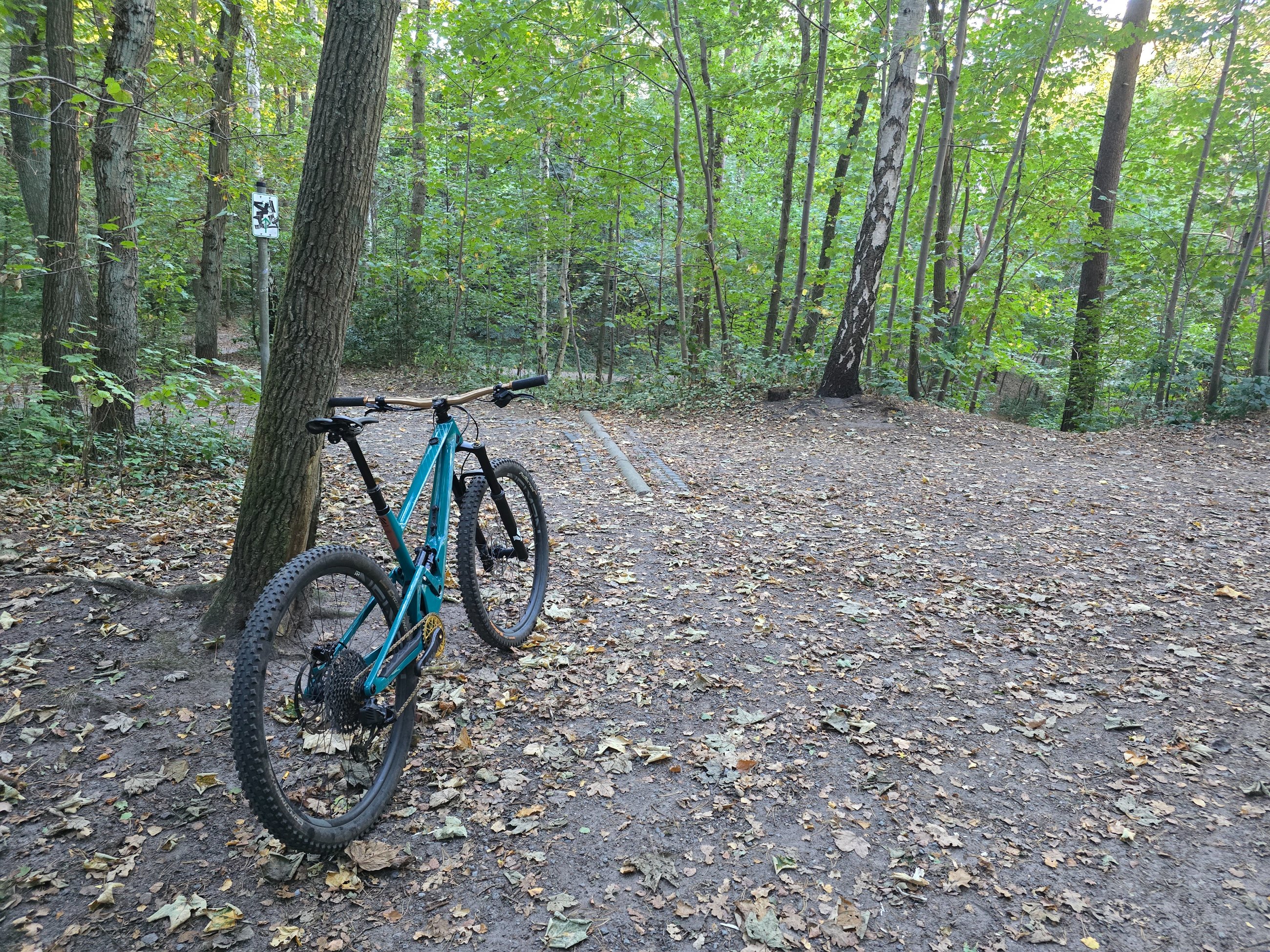 20250924_180258.jpg