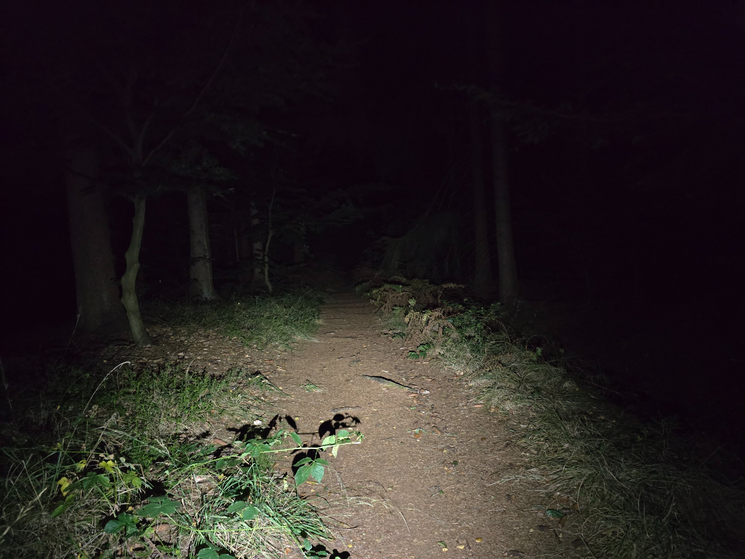 20250925_204016.jpg