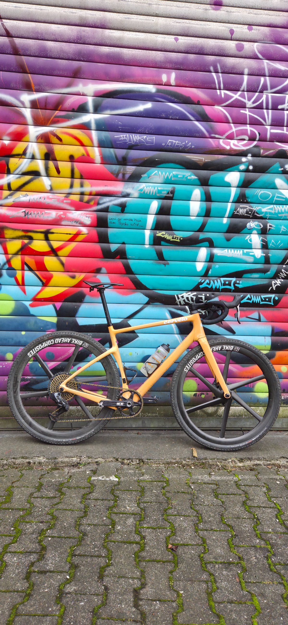 20251011_130010 (3).jpg