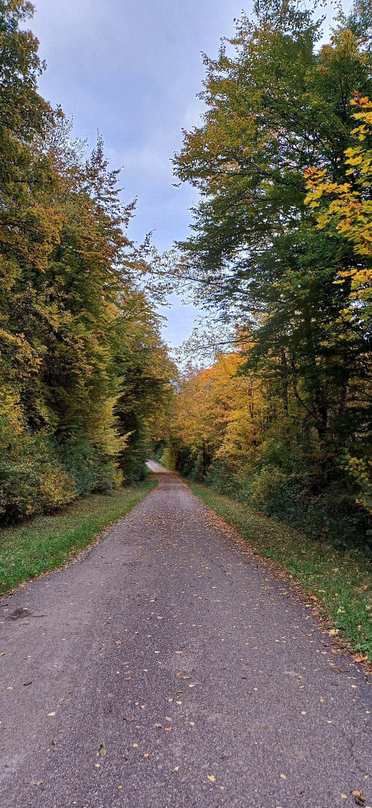 20251011_155402.jpg