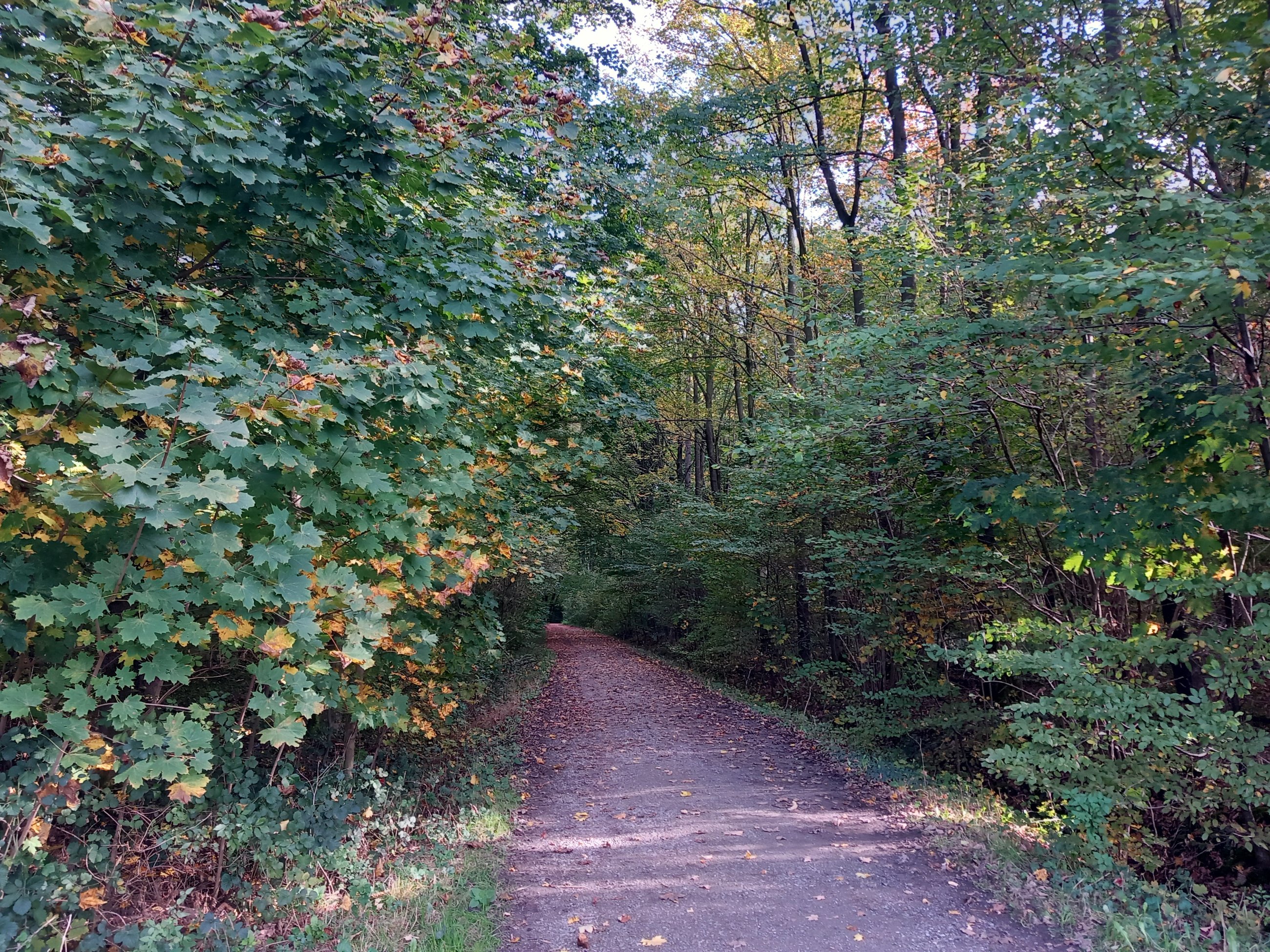 20251018_160314.jpg