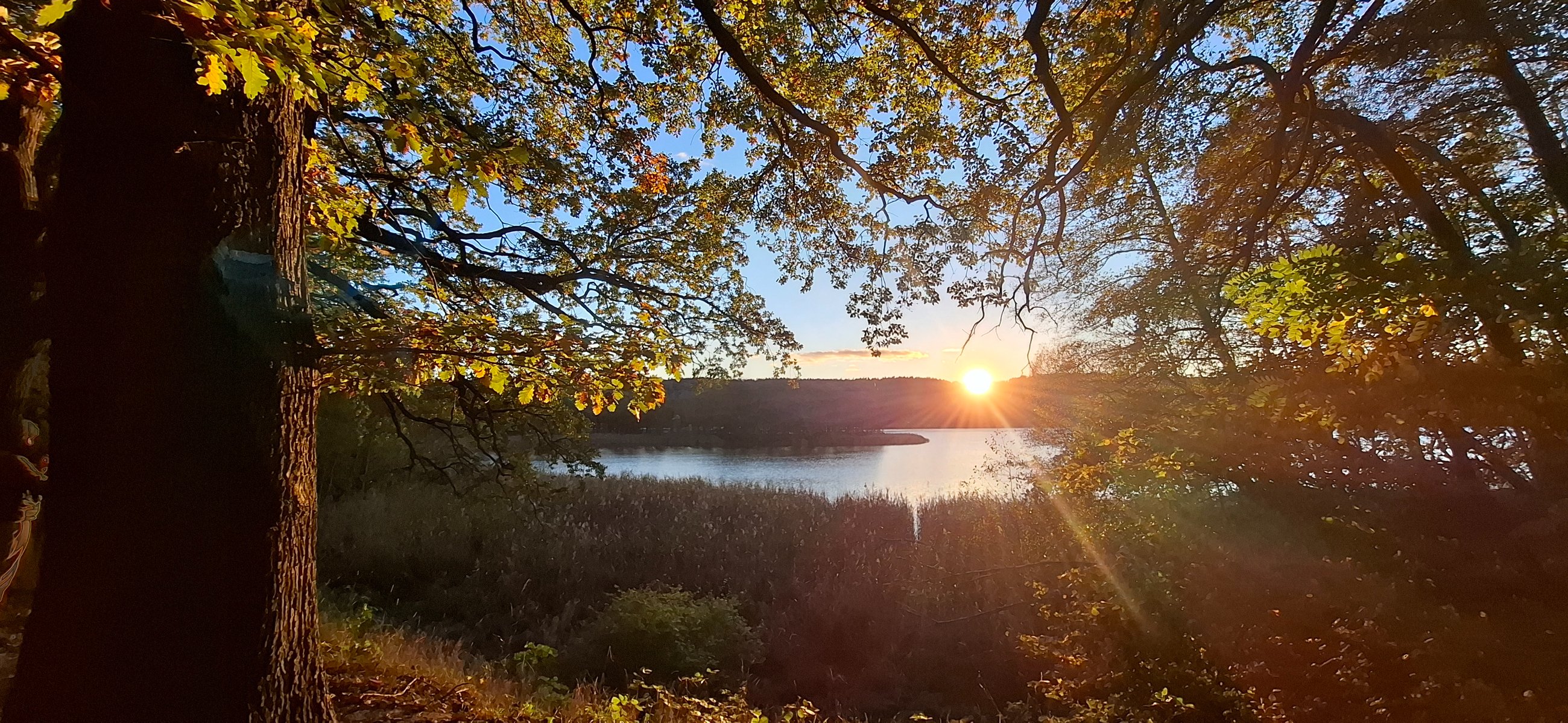 20251018_173522.jpg