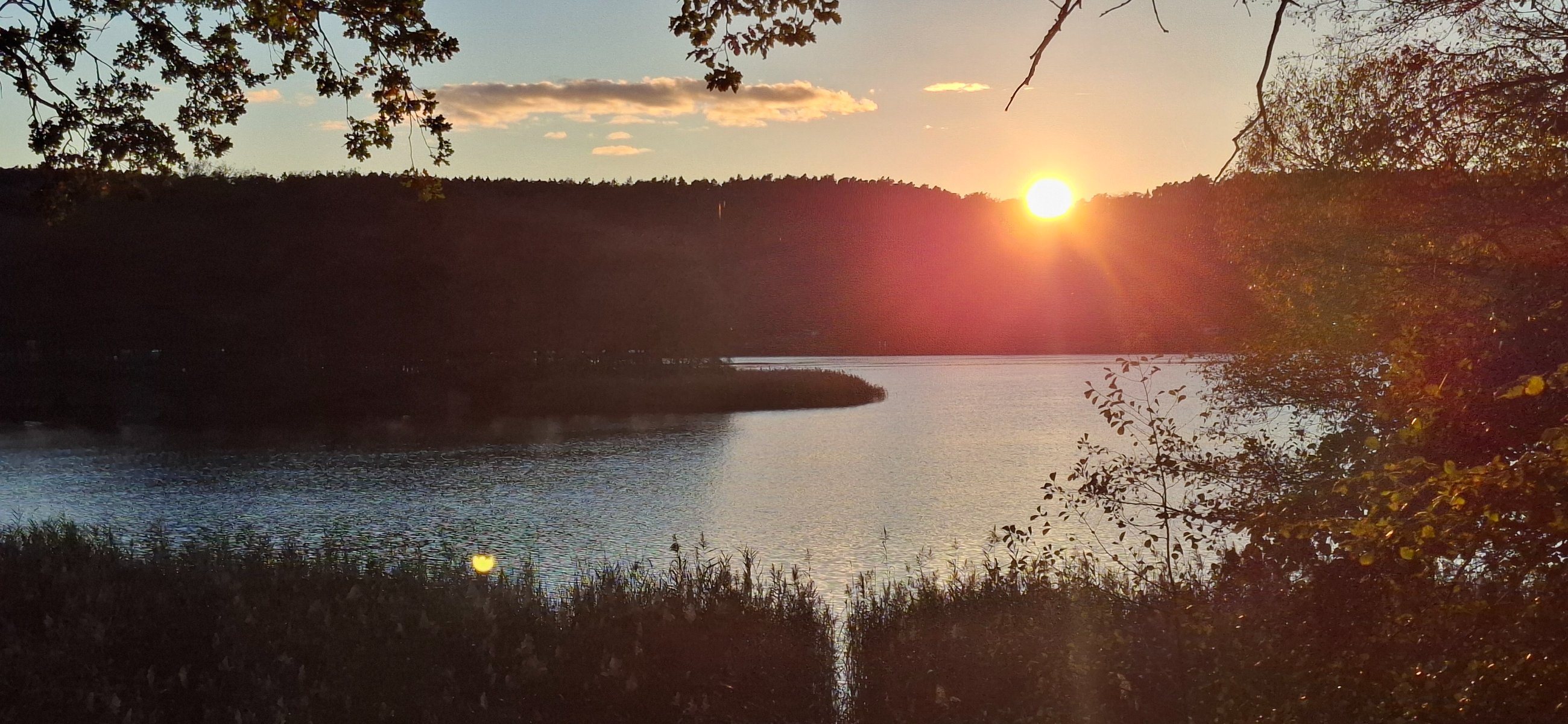 20251018_173540.jpg