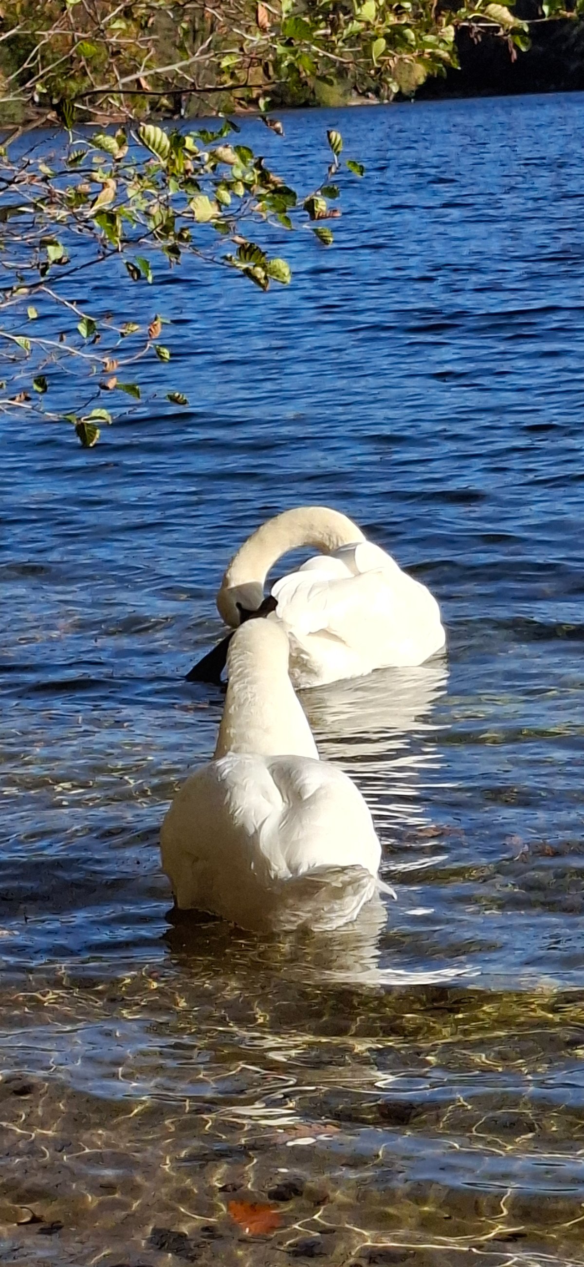 20251019_153122.jpg