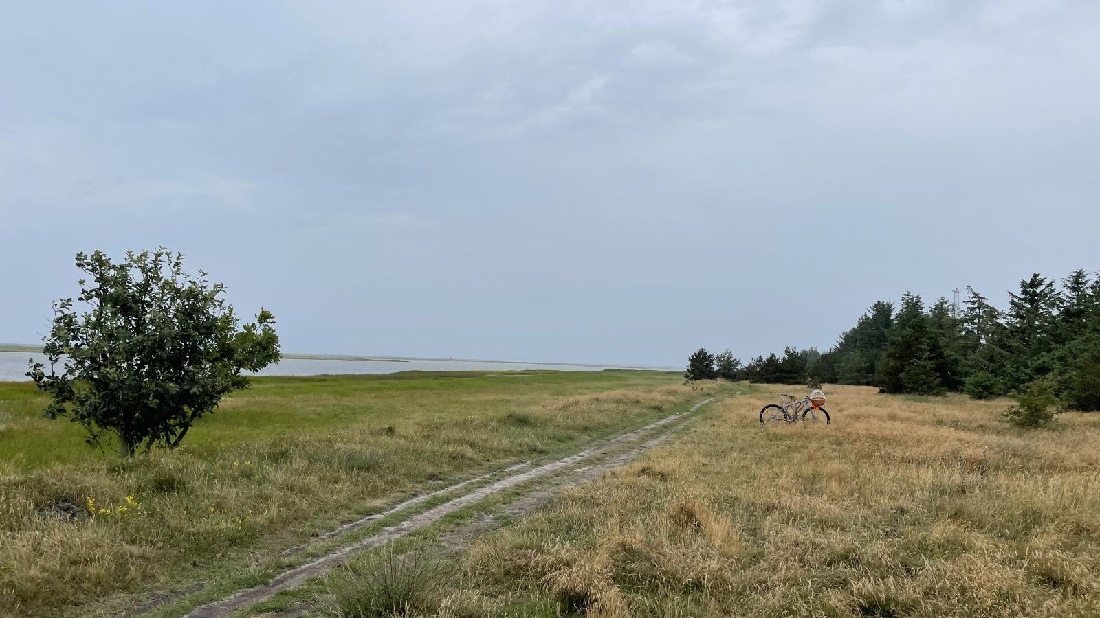 21173101-9DDA-440C-BD4D-1ABDB76F0CF2.jpeg