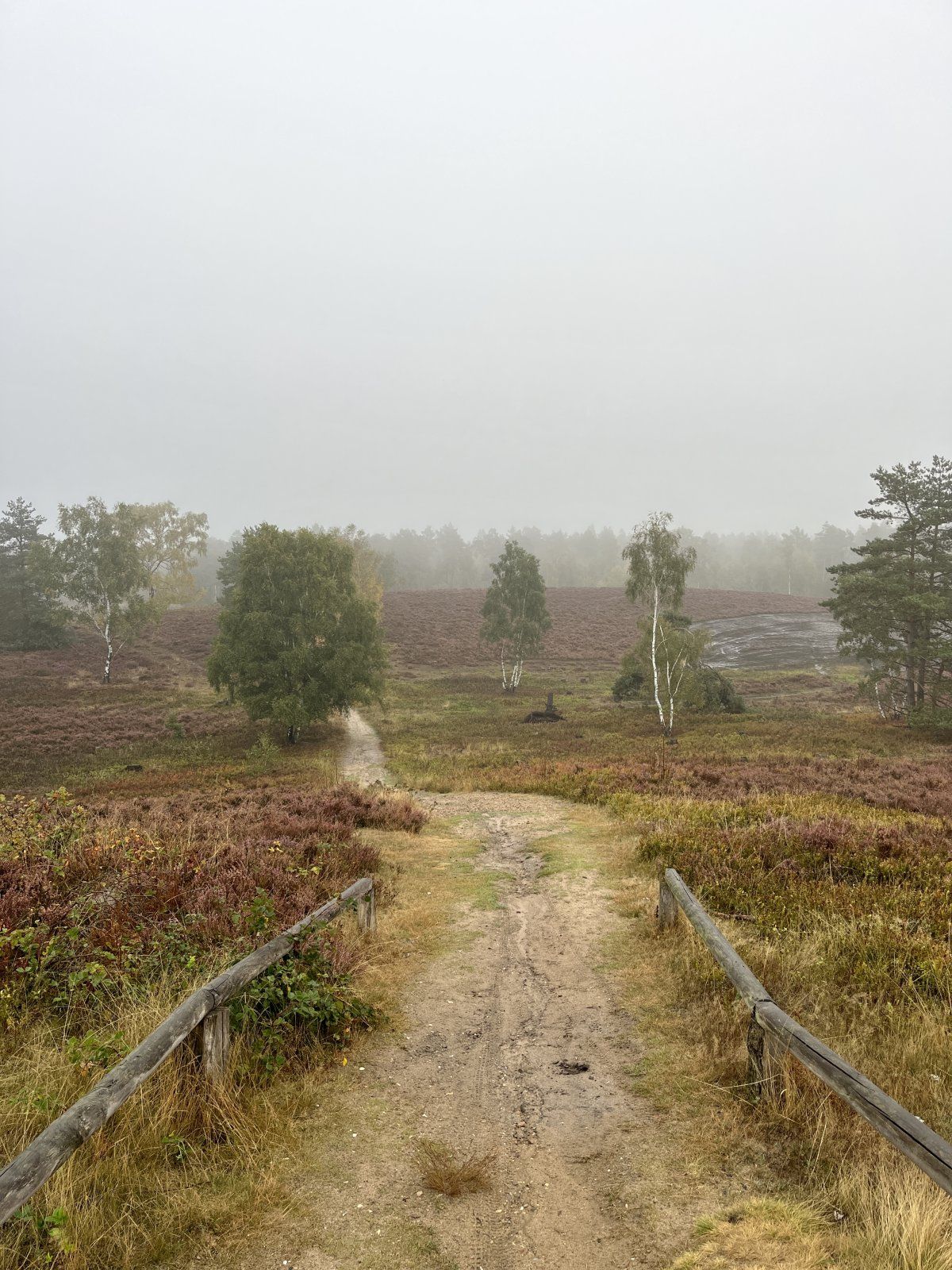 22734AAC-A3AB-45A4-9CC7-E6522BF1A0F2.jpeg