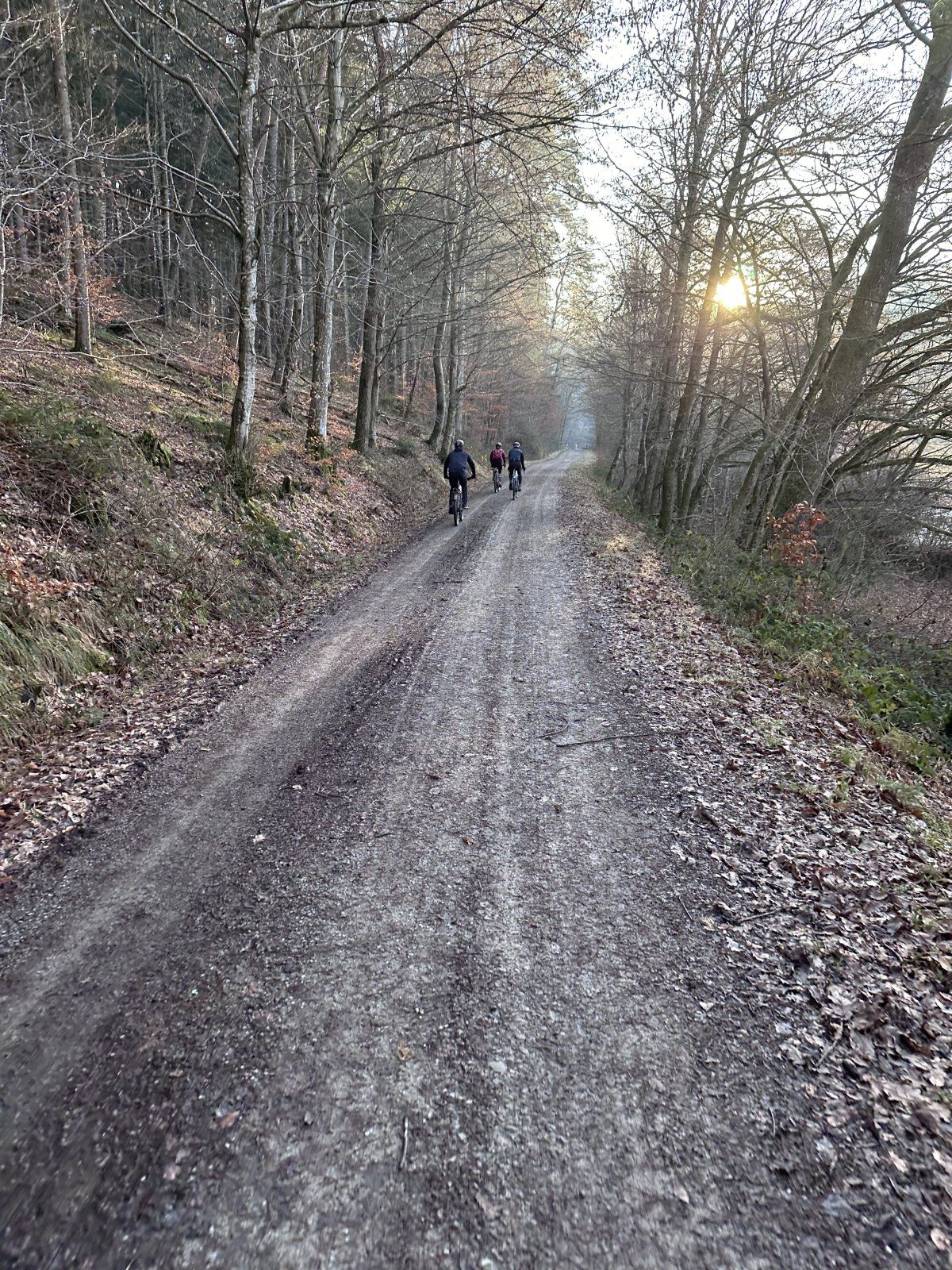 23-12-17 09-17-47 4549.jpg