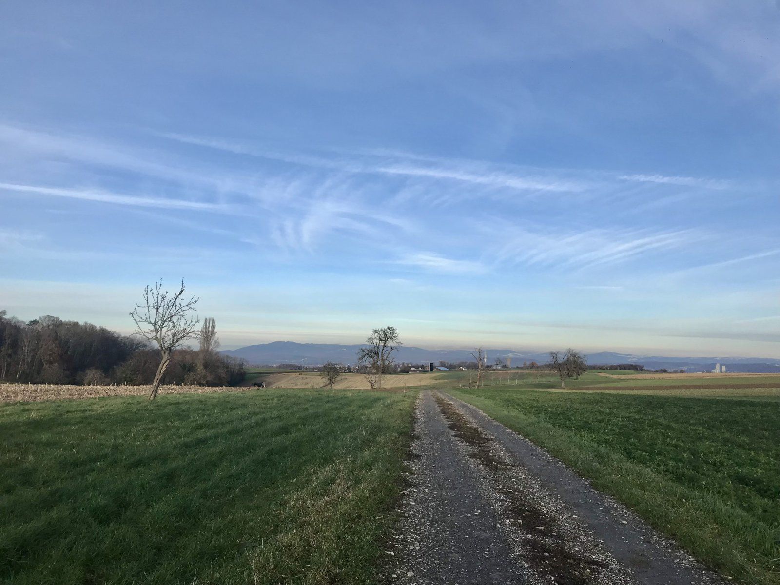 24417FF2-1255-4D5C-9B35-939809C338B4.jpeg