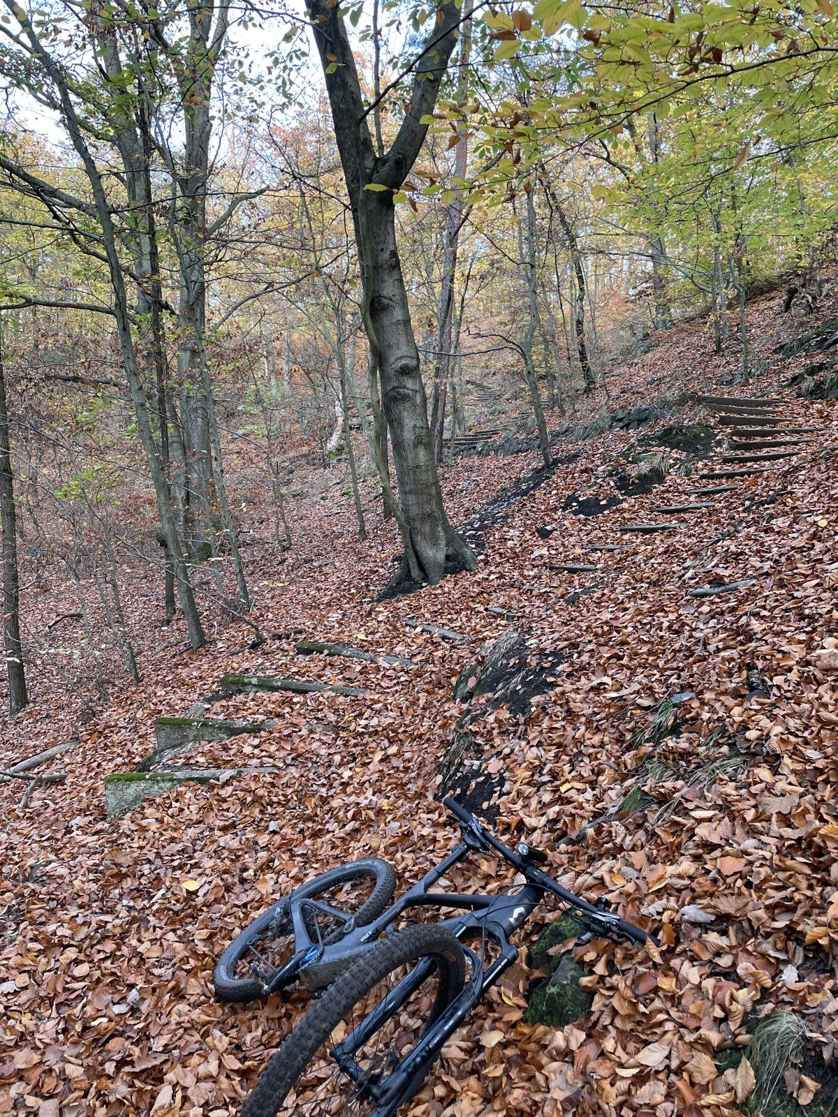 24D55063-376A-4EF4-A334-B05A64A734E2.jpeg