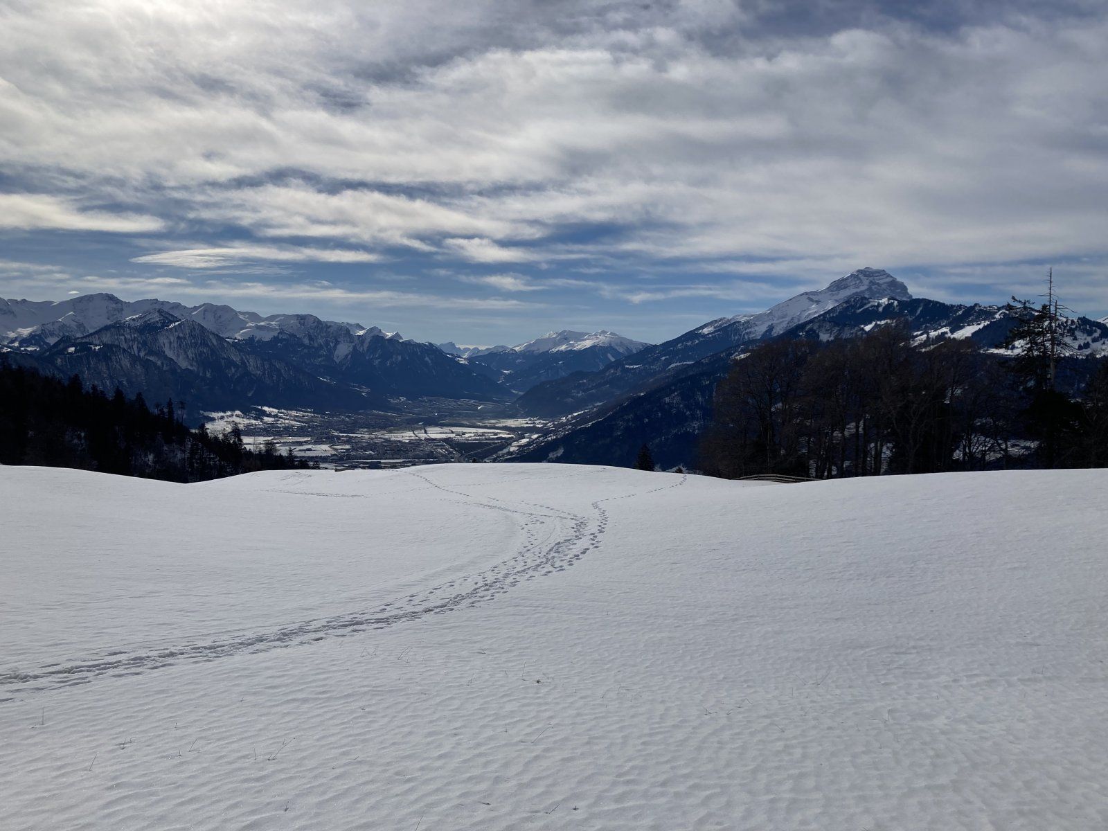 25C0F286-39AB-4C8A-A53E-AD14FC2CCB07.jpeg