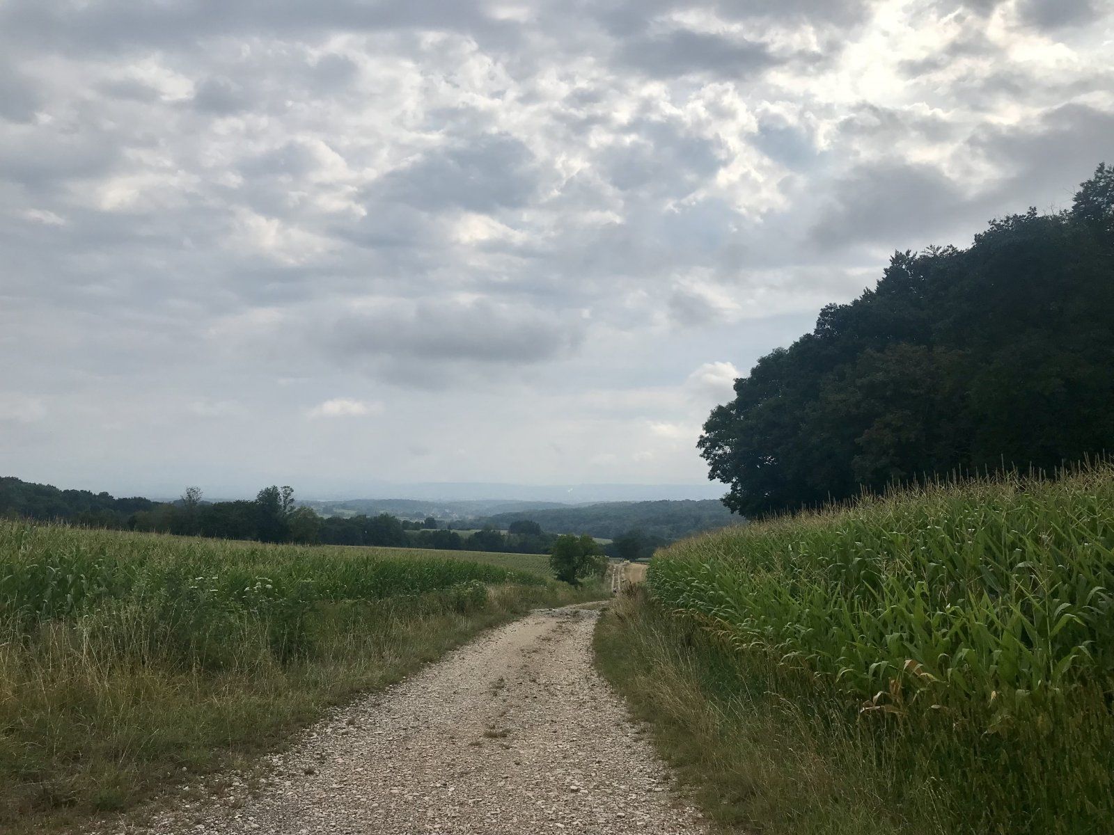 2973DF4D-9643-400B-87A8-5022EF0C97F6.jpeg