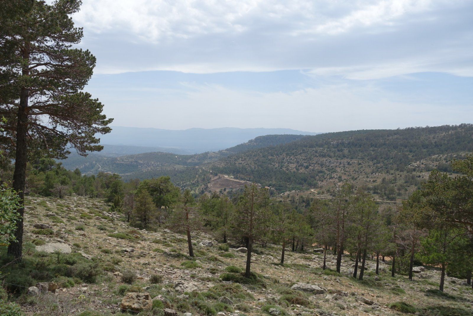 2C7E0DDA-FCE2-4149-AA75-225819B37DF3.jpeg