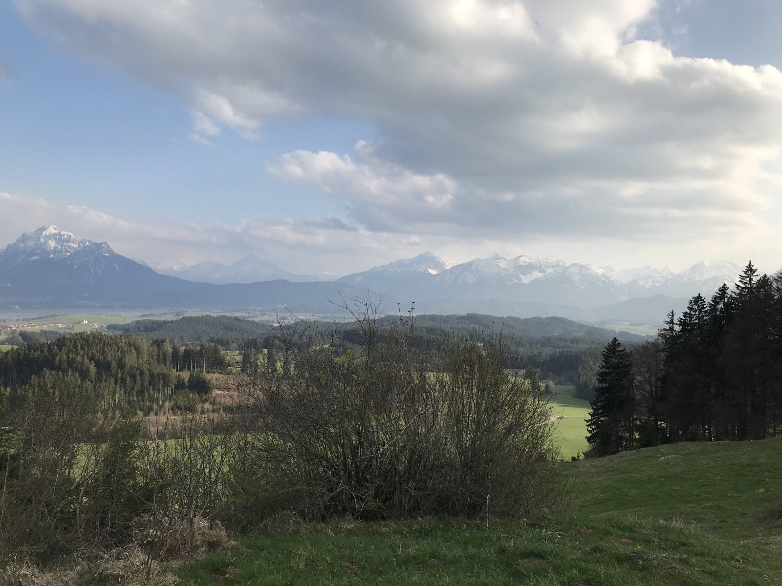 2EA4476B-0895-41E5-9364-DE2A76263890.jpeg