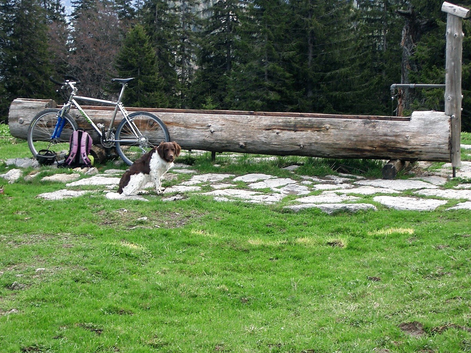 3.Kaseralm 01.05.2003.jpg