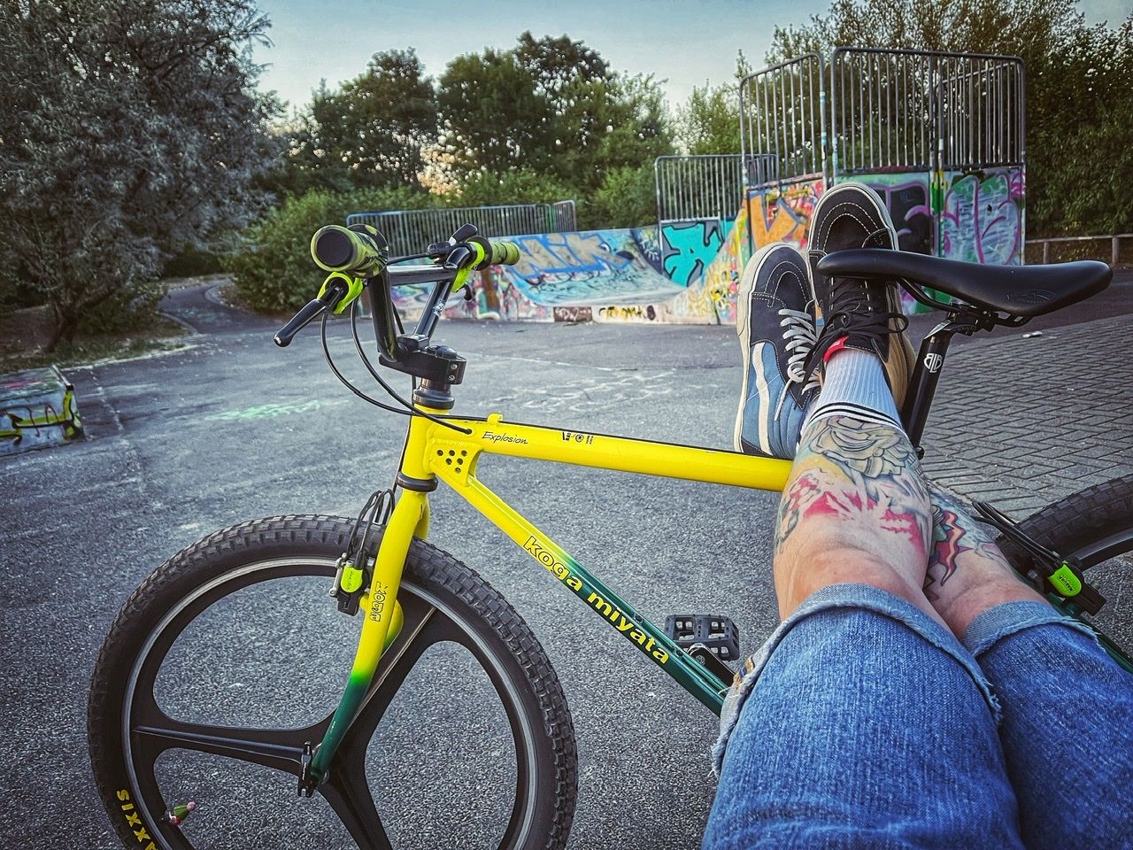 353A51E5-62B9-431B-BA09-B985C0DC66BB.jpeg